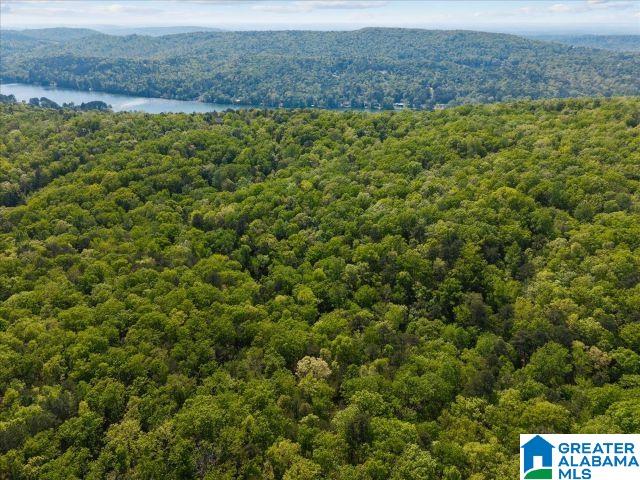5th image of 8810 Pine Mountain Road, Pinson, AL 35126 | MLS# 21449780