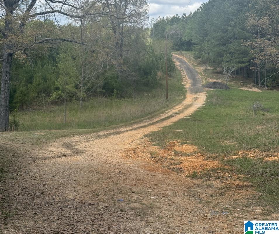 Homes for sale in West Blocton, AL | 126 Lone Star Lane, West Blocton, AL 35184 | MLS# 21449787