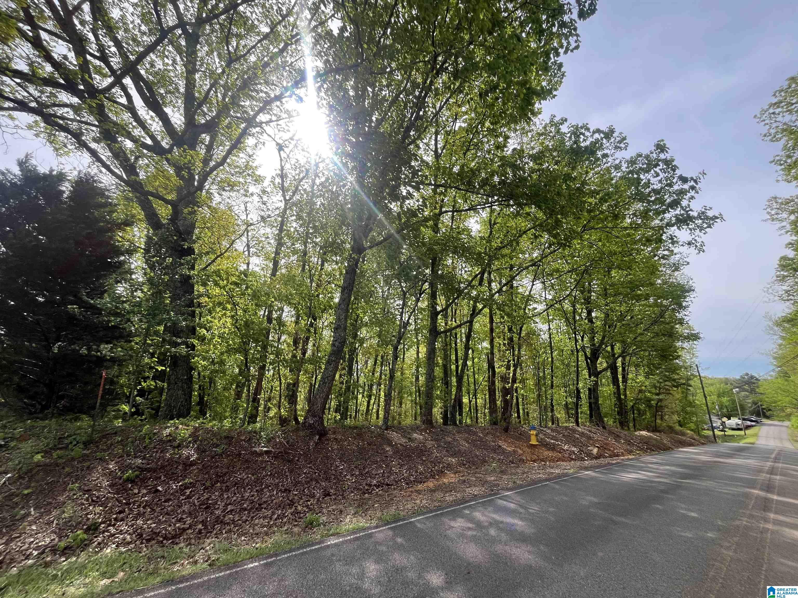 Homes for sale in Trussville, AL | 7103 Honor Keith Road, Trussville, AL 35173 | MLS# 21449797