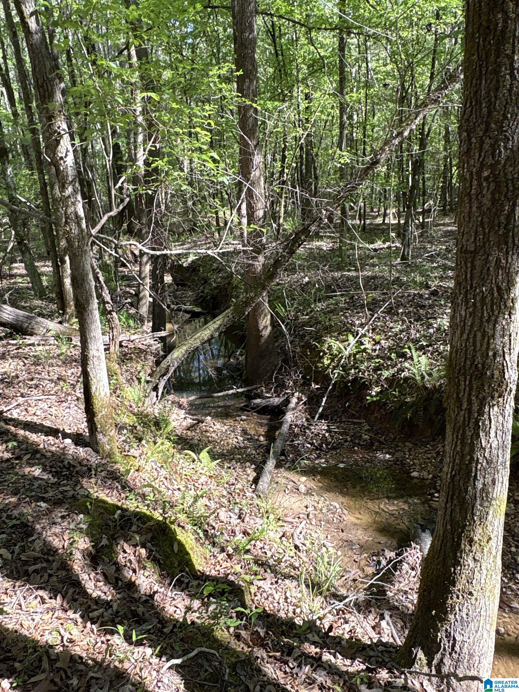 4th image of 0 Hickory Hills Dr, Centreville, AL 35042 | MLS# 21449987