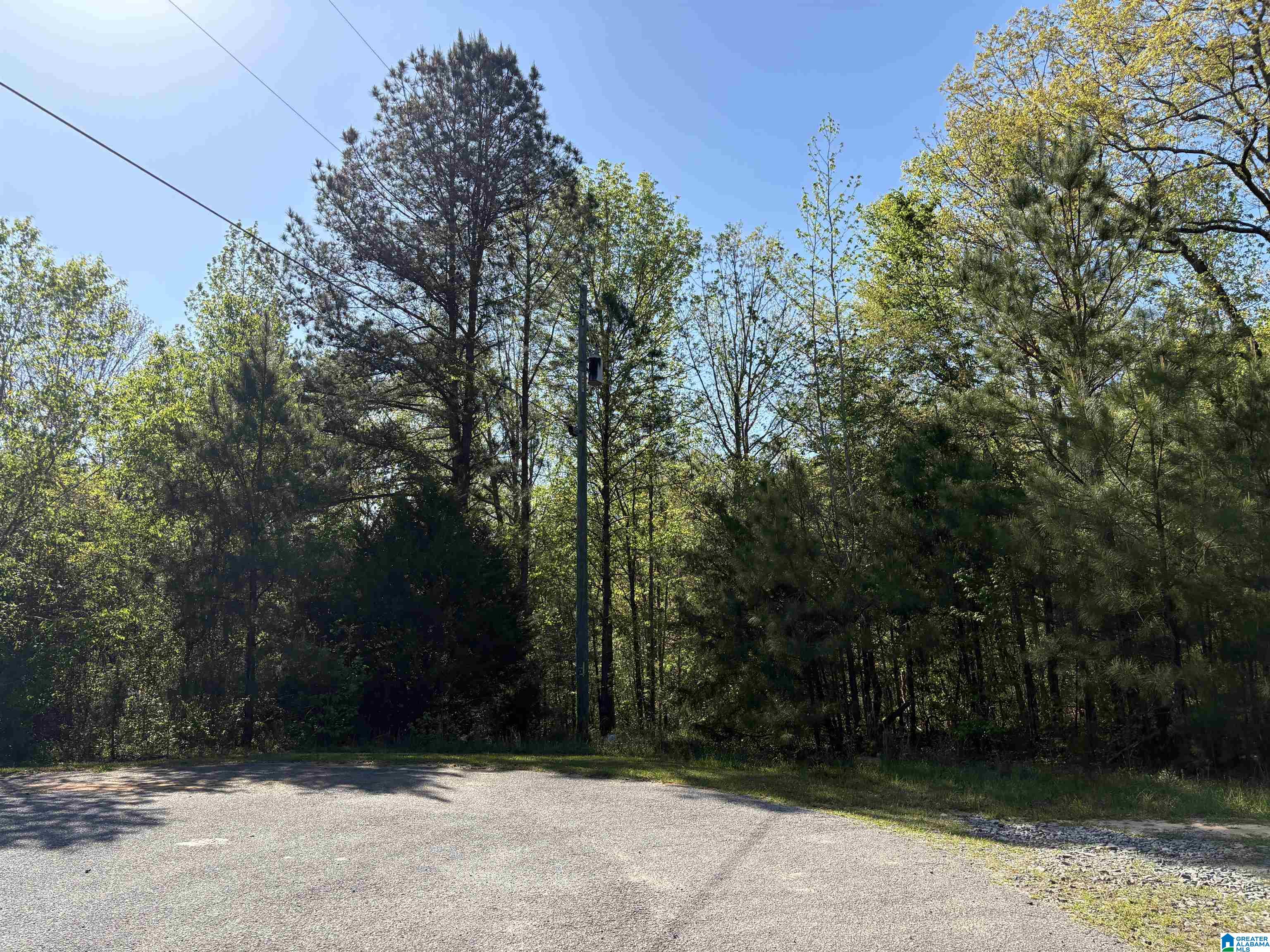 5th image of 0 Hickory Hills Dr, Centreville, AL 35042 | MLS# 21449987