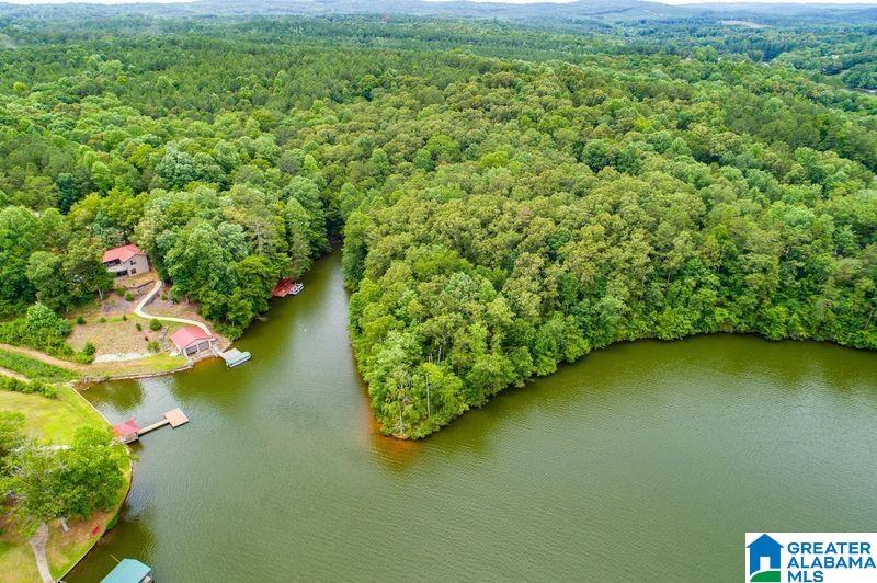 4.27 acres ANTLER TRAIL
