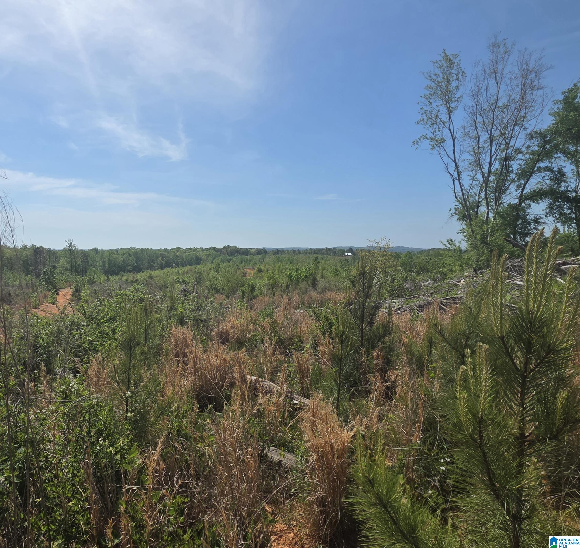 Tract 8 COUNTY ROAD 256