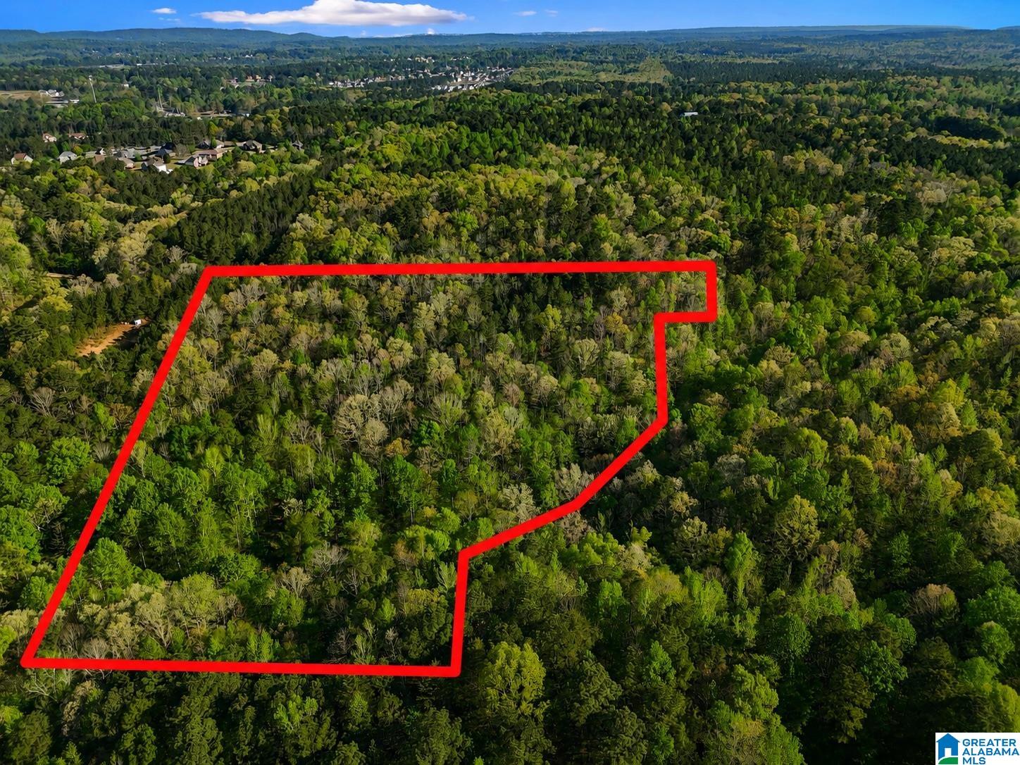 Homes for sale in Odenville, AL | Off Of Magnolia Crest Way, Odenville, AL 35120 | MLS# 21450016
