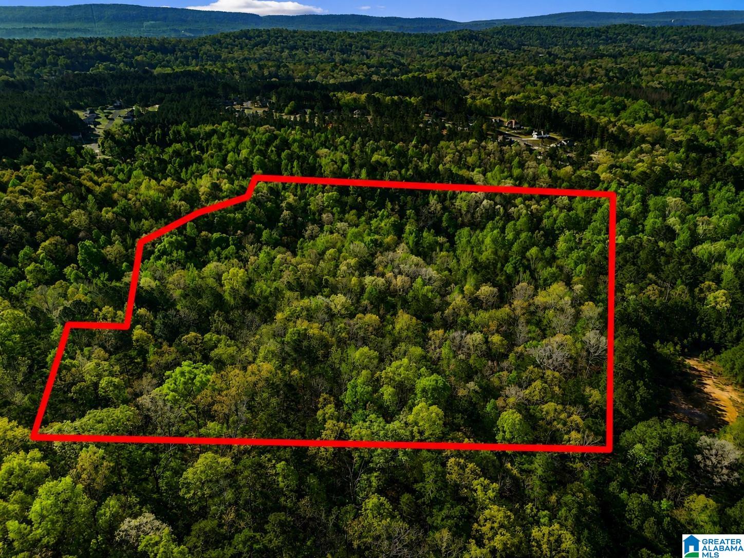 Homes for sale in Odenville, AL | Off Of Magnolia Crest Way, Odenville, AL 35120 | MLS# 21450016