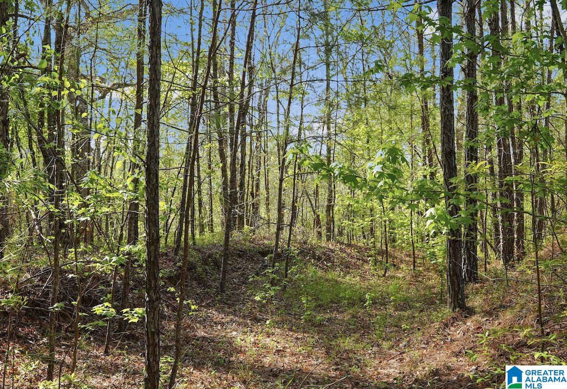Homes for sale in Odenville, AL | Off Of Magnolia Crest Way, Odenville, AL 35120 | MLS# 21450016