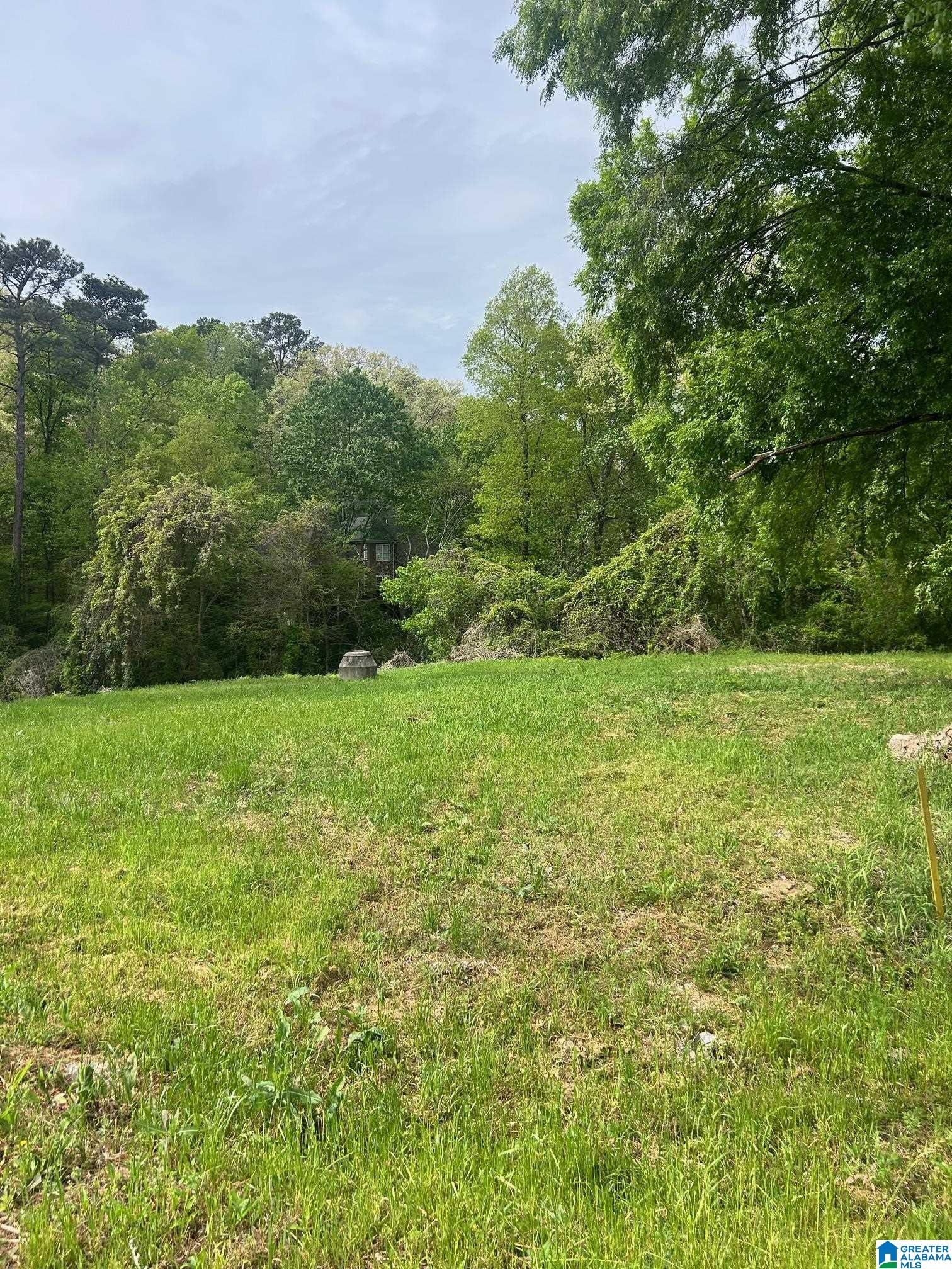 Homes for sale in Homewood, AL | 1008 Columbiana Road, Homewood, AL 35209 | MLS# 21450225