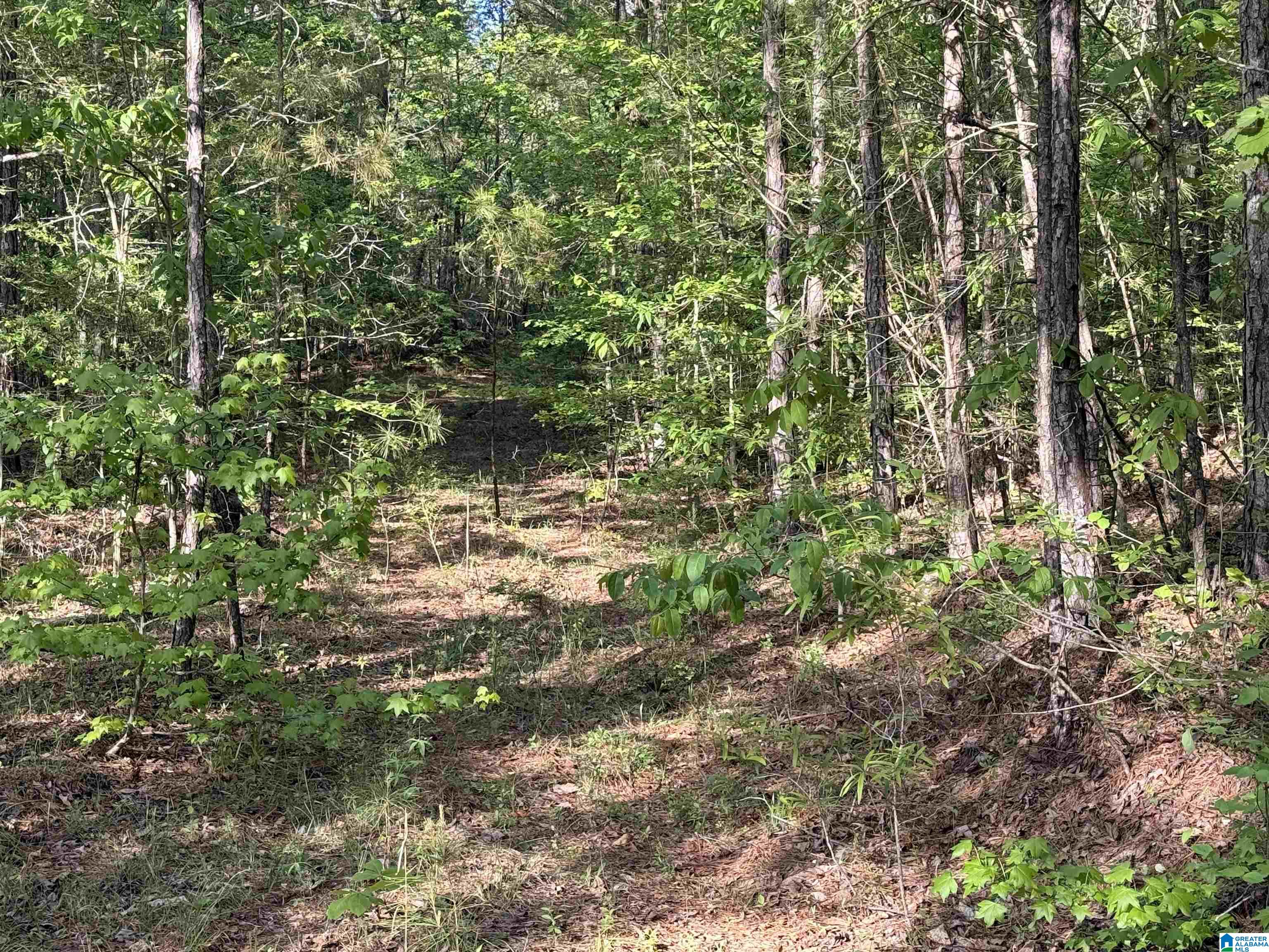 Homes for sale in Vincent, AL | 0 Piney Woods Road, Vincent, AL 35178 | MLS# 21450235