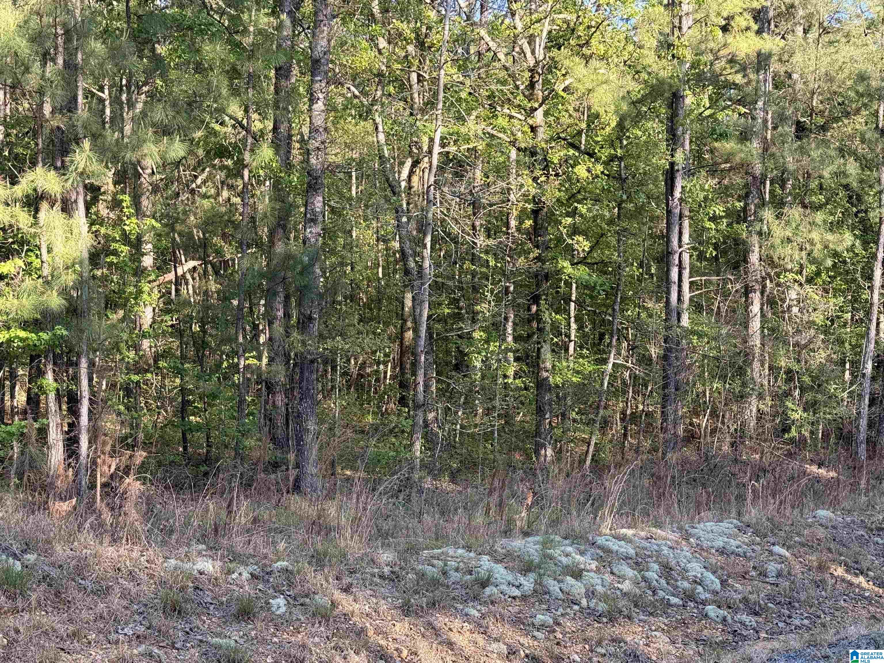 Homes for sale in Vincent, AL | 0 Piney Woods Road, Vincent, AL 35178 | MLS# 21450235