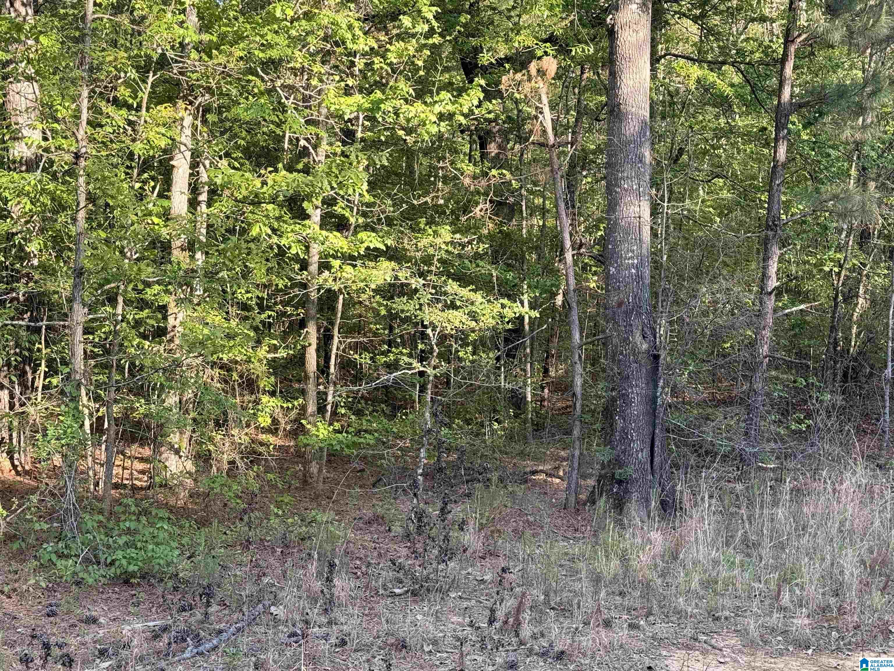 Homes for sale in Vincent, AL | 0 Piney Woods Road, Vincent, AL 35178 | MLS# 21450235