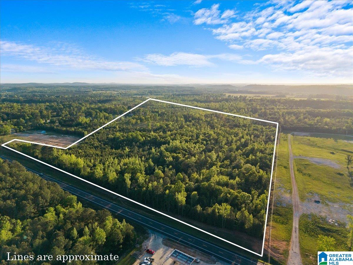 42 acres ALABAMA HIGHWAY 77