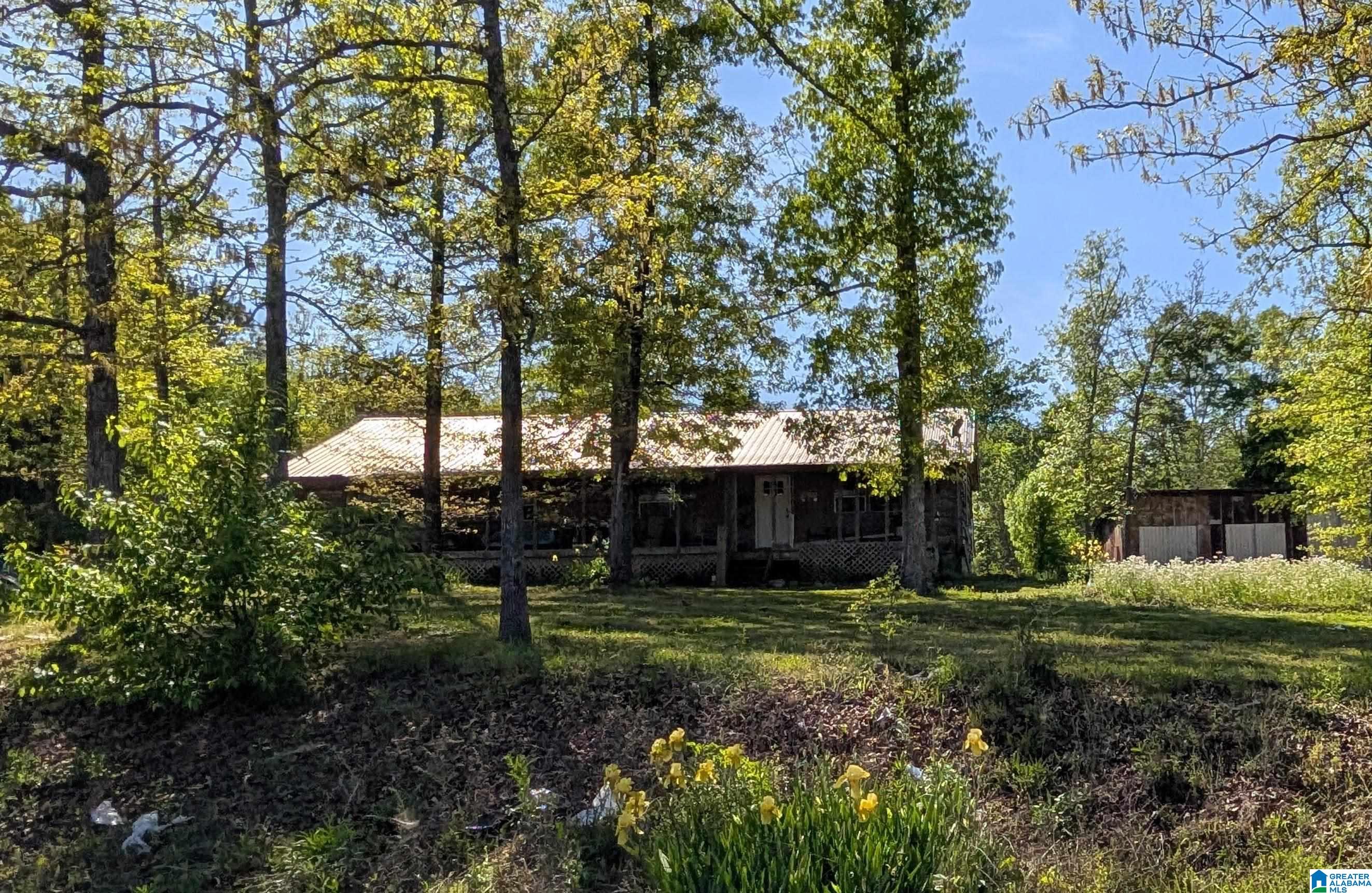 Homes for sale in Piedmont, AL | 2091 County Road 19, Piedmont, AL 36272 | MLS# 21450423