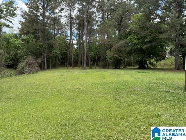 Homes for sale in Kimberly, AL | 9126 Stouts Road, Kimberly, AL 35091 | MLS# 21450427