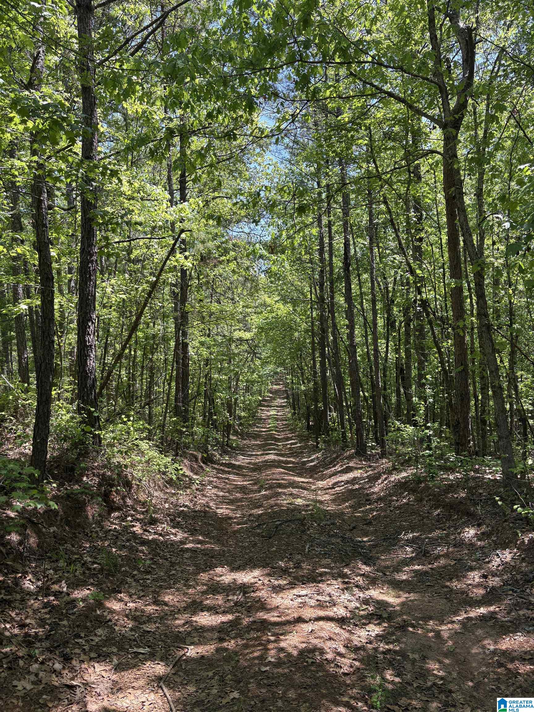0 COUNTY ROAD 26