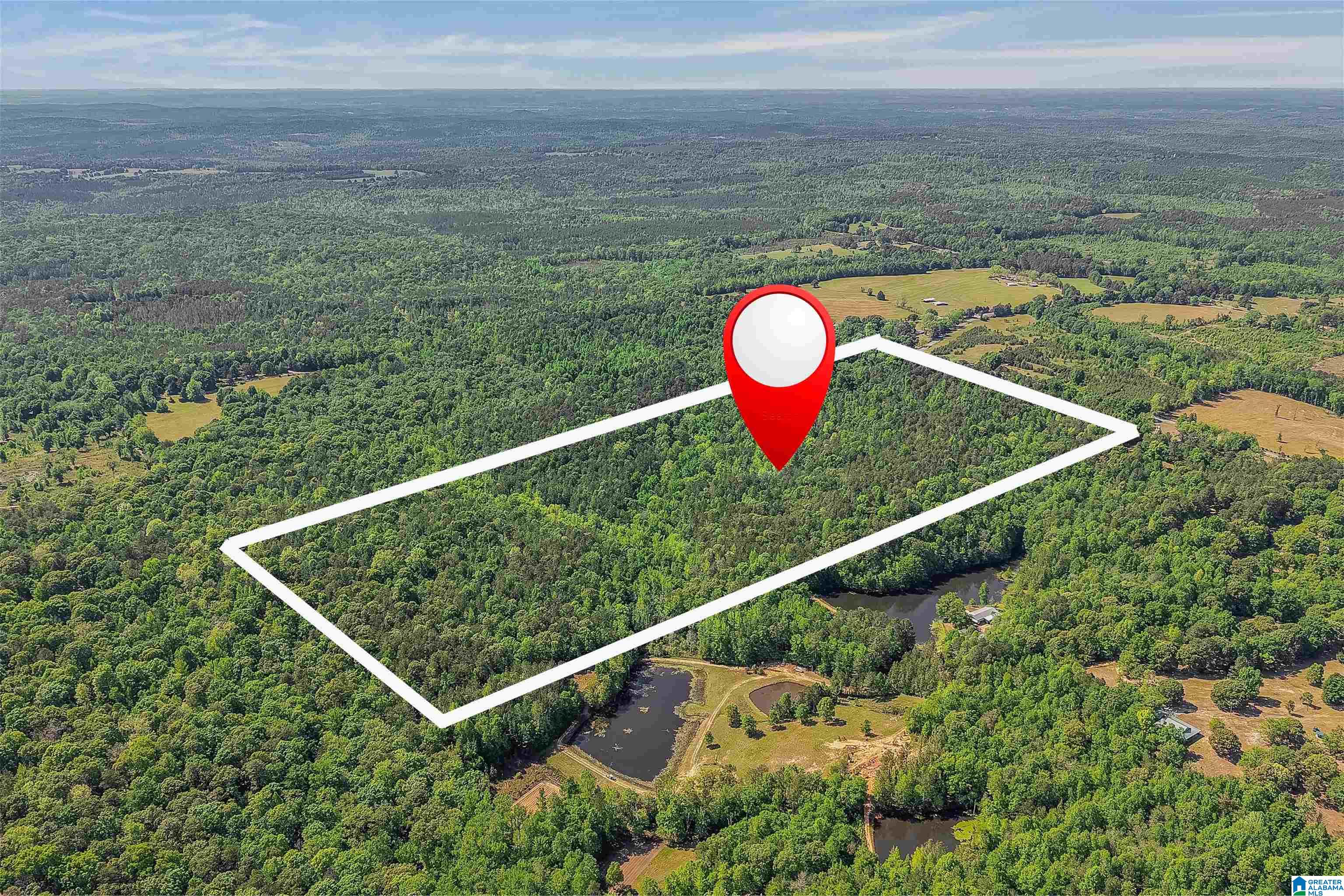 Homes for sale in Lawley, AL | 0 Lovelady Lane, Lawley, AL 36793 | MLS# 21450530