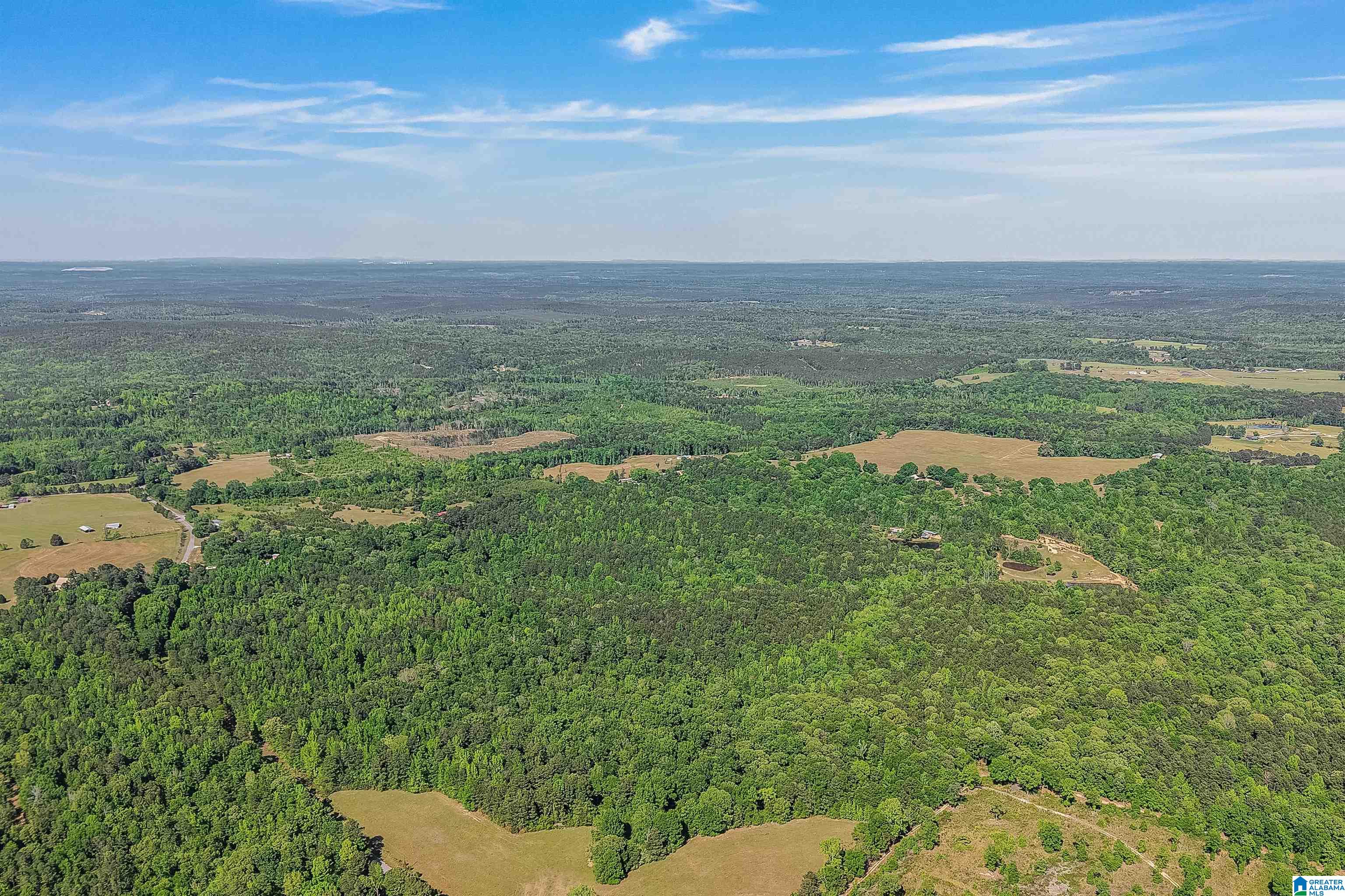 Homes for sale in Lawley, AL | 0 Lovelady Lane, Lawley, AL 36793 | MLS# 21450530