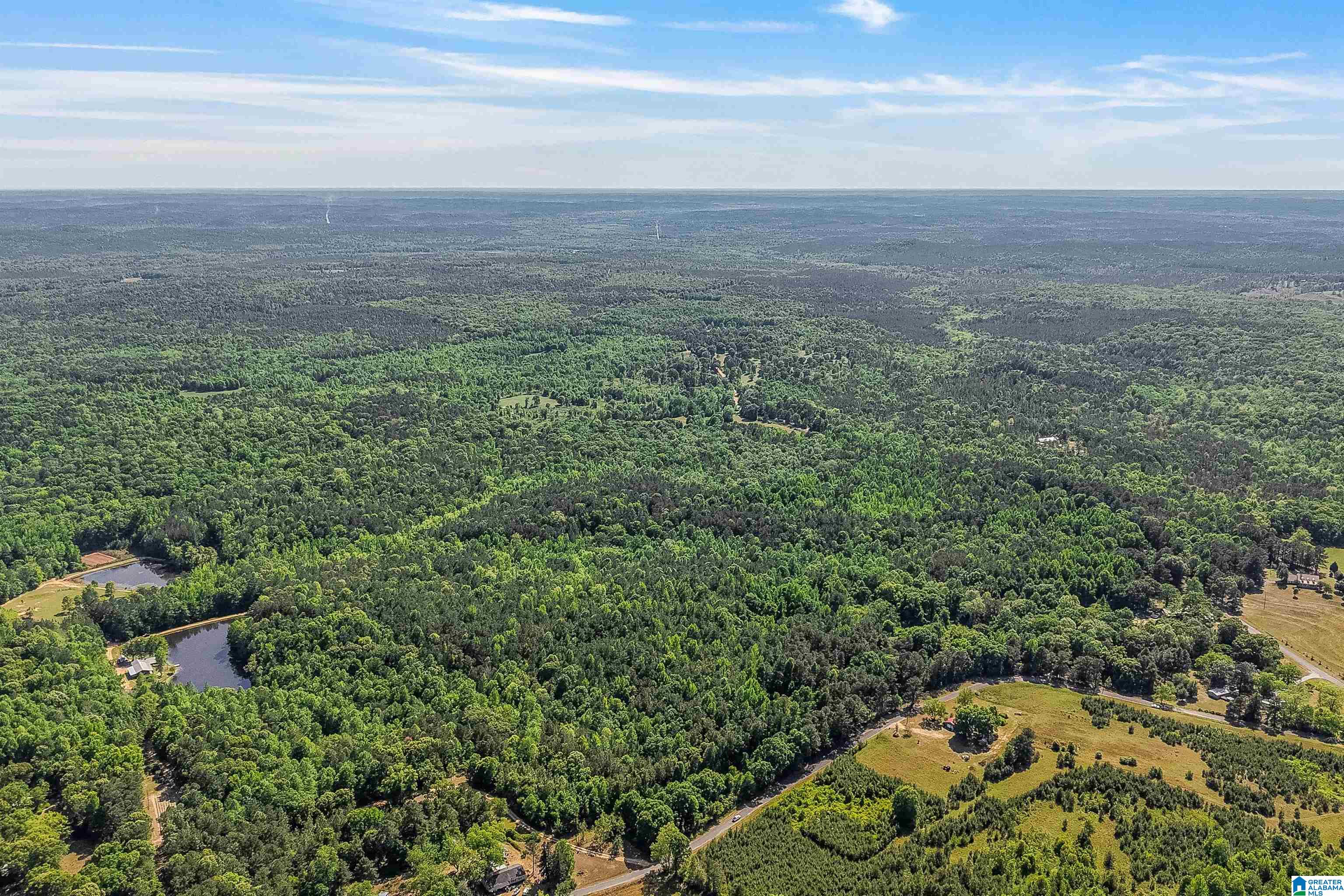 Homes for sale in Lawley, AL | 0 Lovelady Lane, Lawley, AL 36793 | MLS# 21450530