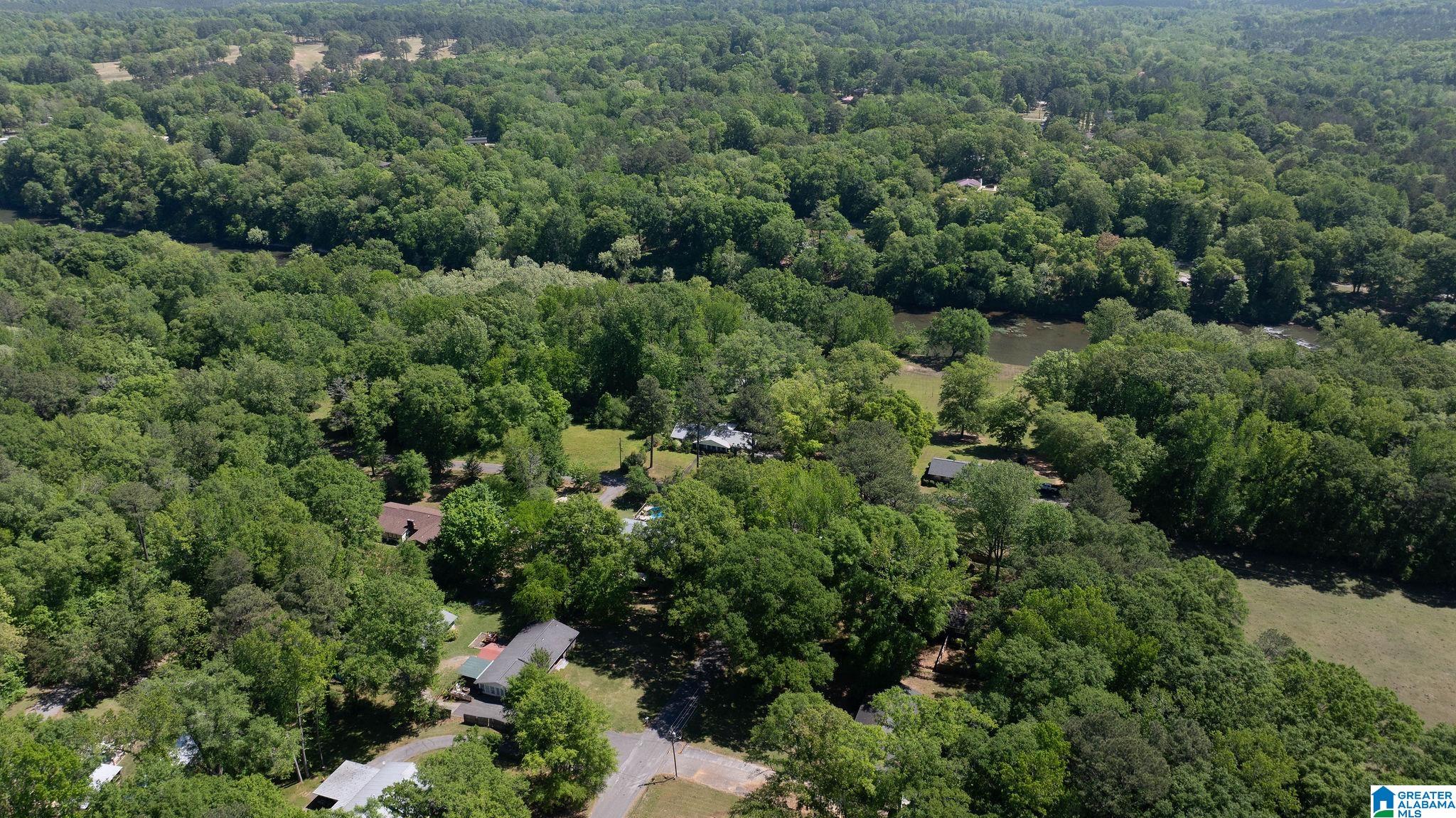 Homes for sale in Centreville, AL | 270 Cahawba Dr, Centreville, AL 35042 | MLS# 21450541