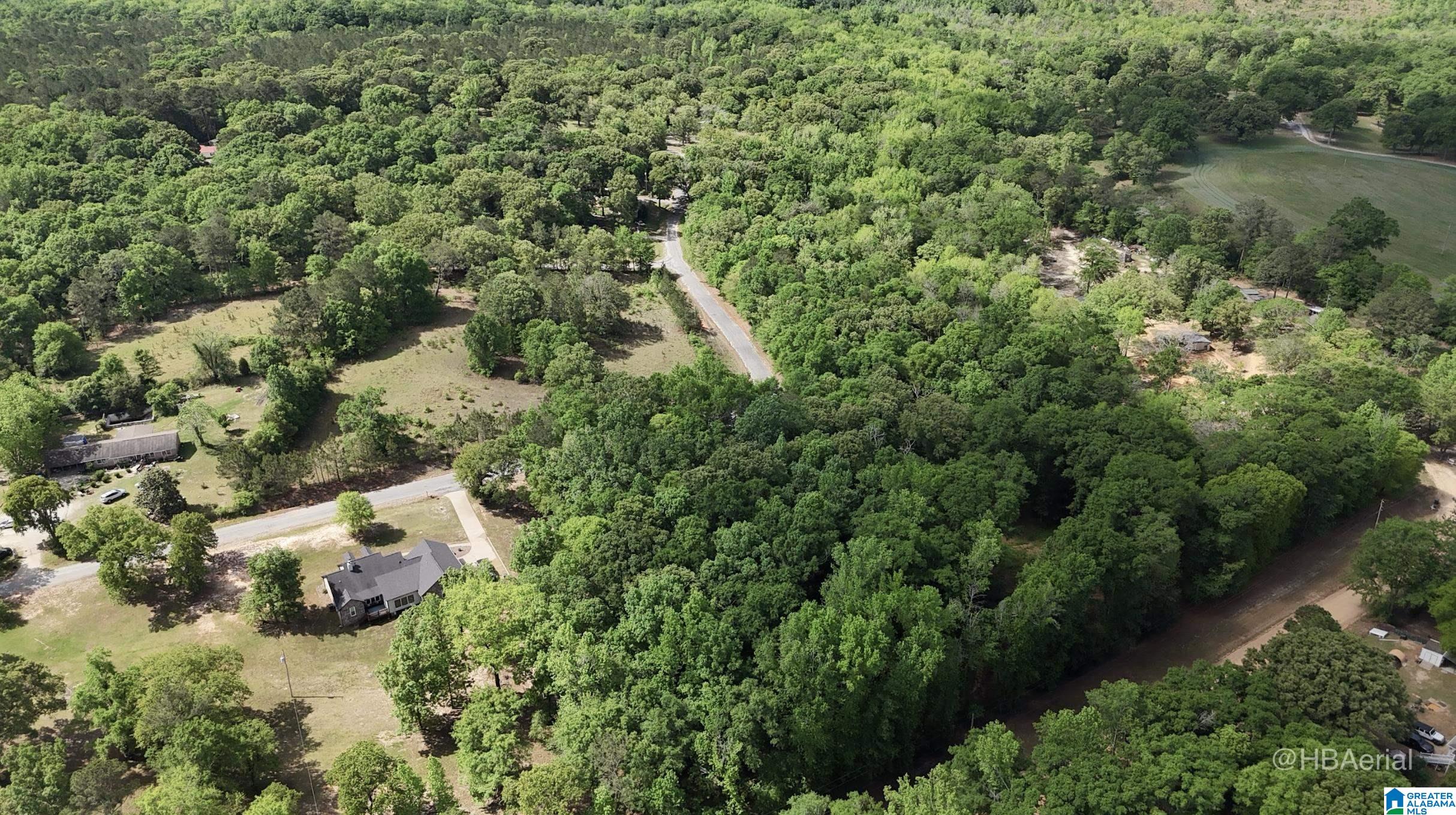 Homes for sale in Seale, AL | Blueberry Road, Seale, AL 36875 | MLS# 21450643