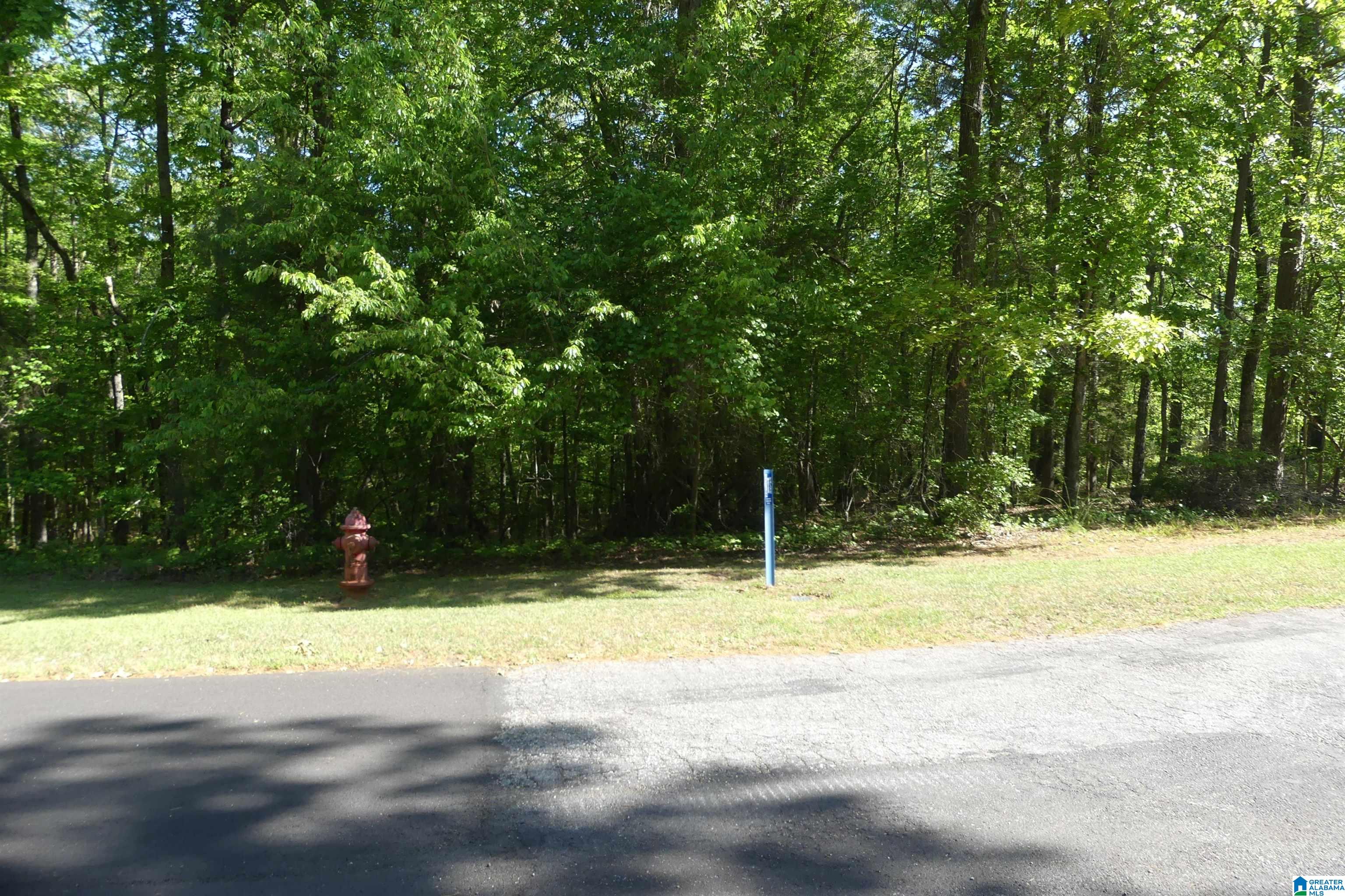 Homes for sale in Wedowee, AL | Lot 58/64 Bob White Dr, Wedowee, AL 36278 | MLS# 21450652