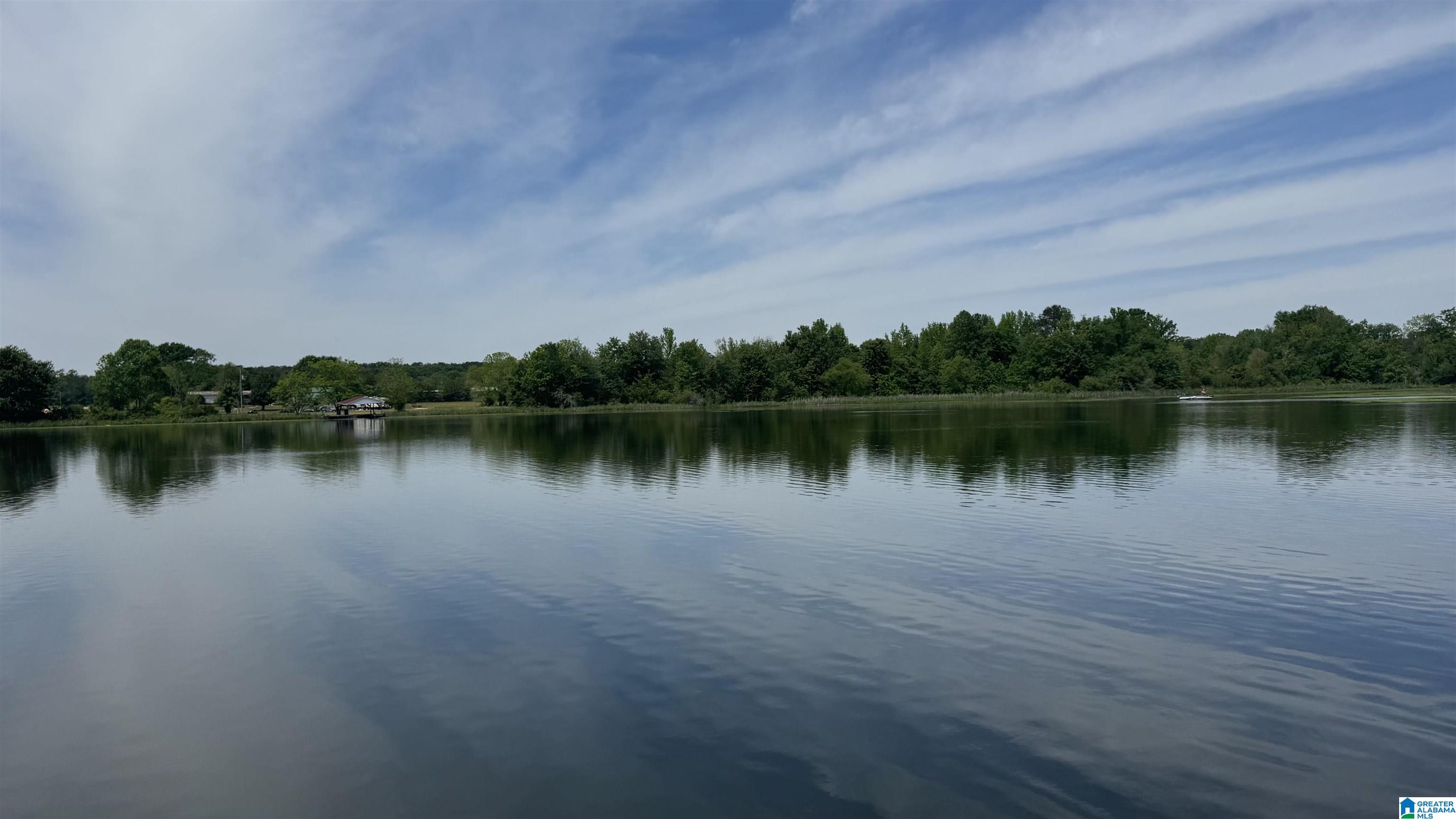 Photo 3 of Land for sale at 00 Cove Rd, Sylacauga, AL 35150 | MLS# 21450655 | Listing updated on 2026-09-24