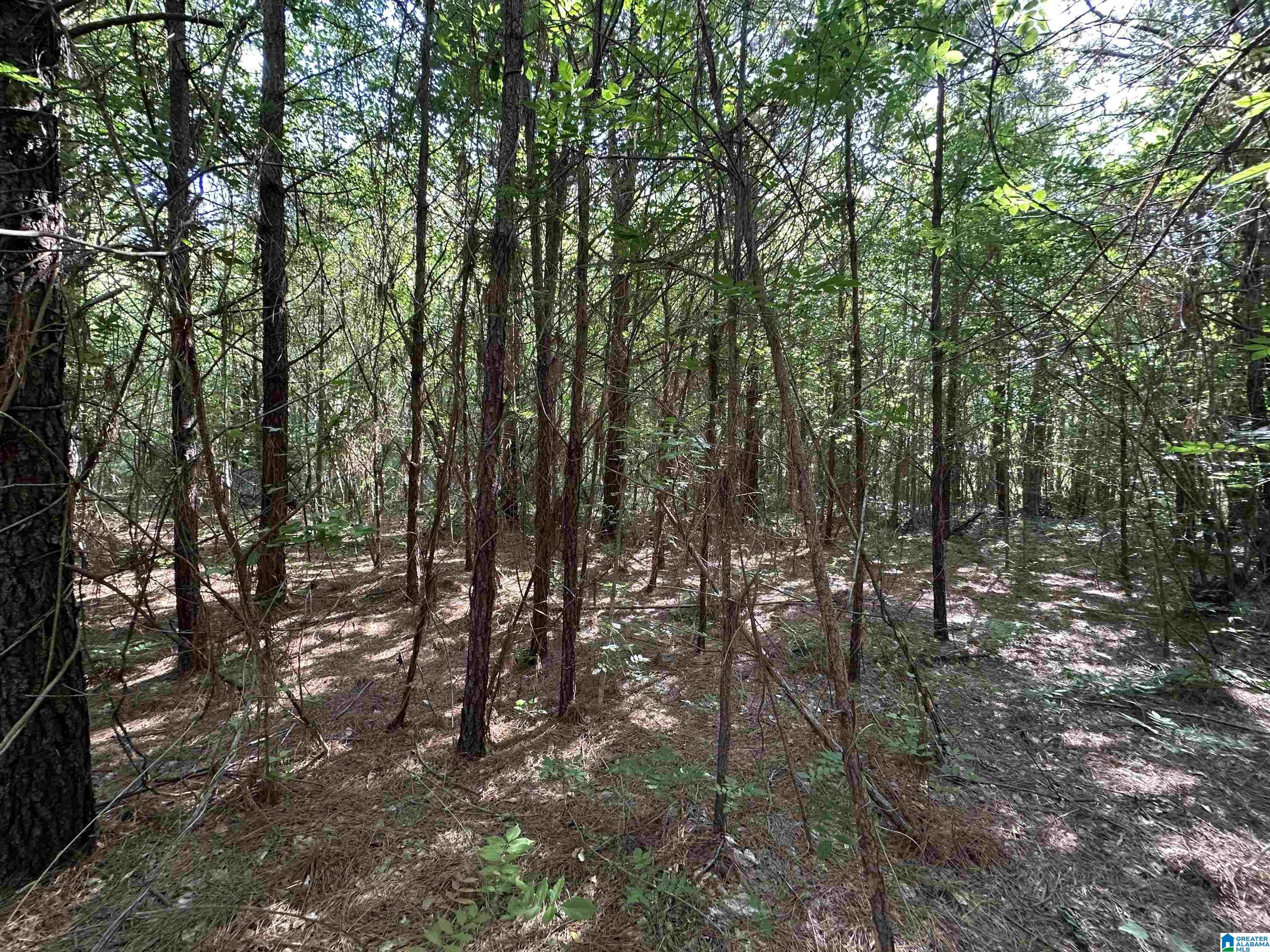 Homes for sale in Lawley, AL | 13181 E Capitol Dr, Lawley, AL 36793 | MLS# 21450666