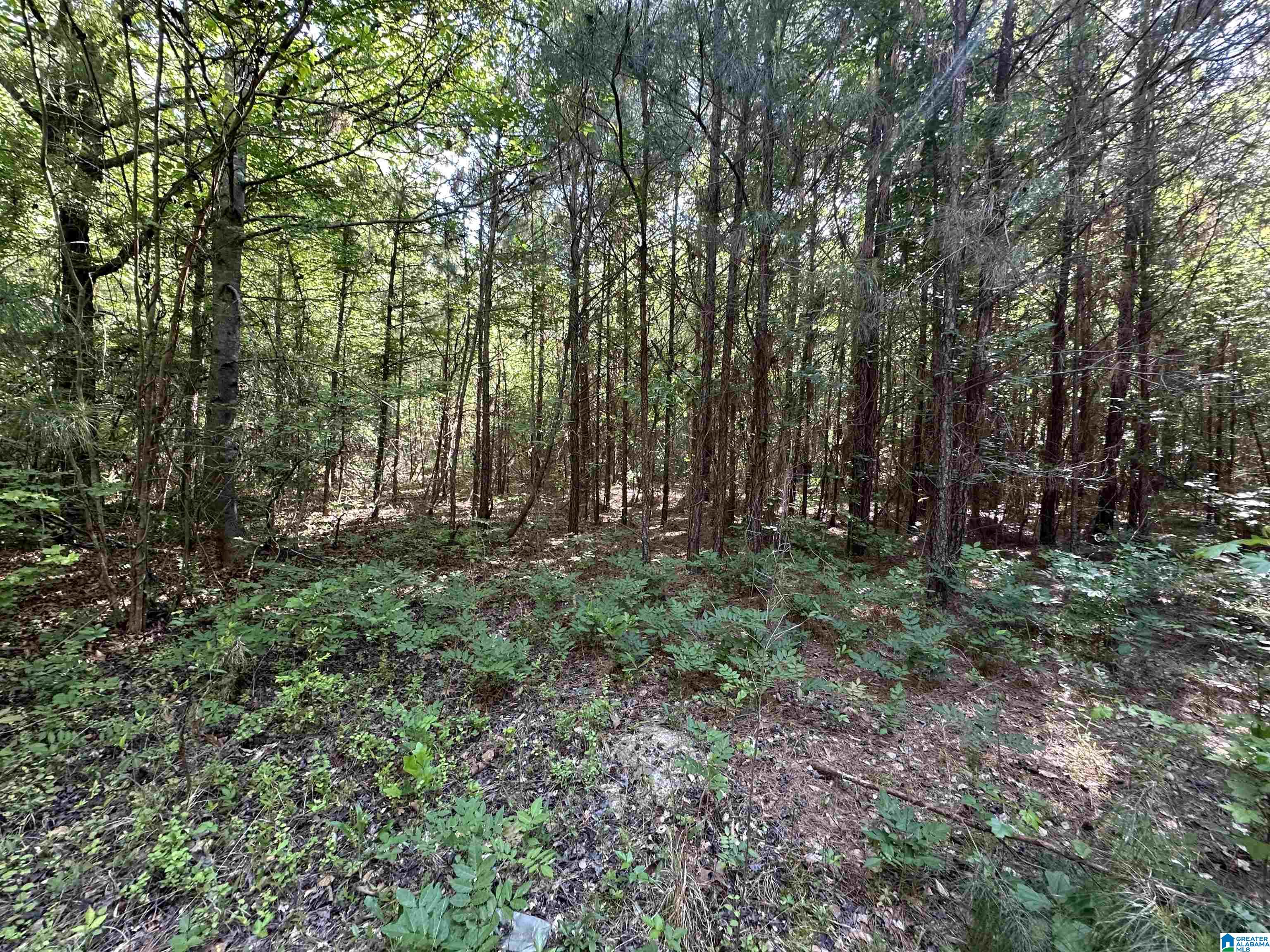 Homes for sale in Lawley, AL | 13181 E Capitol Dr, Lawley, AL 36793 | MLS# 21450666