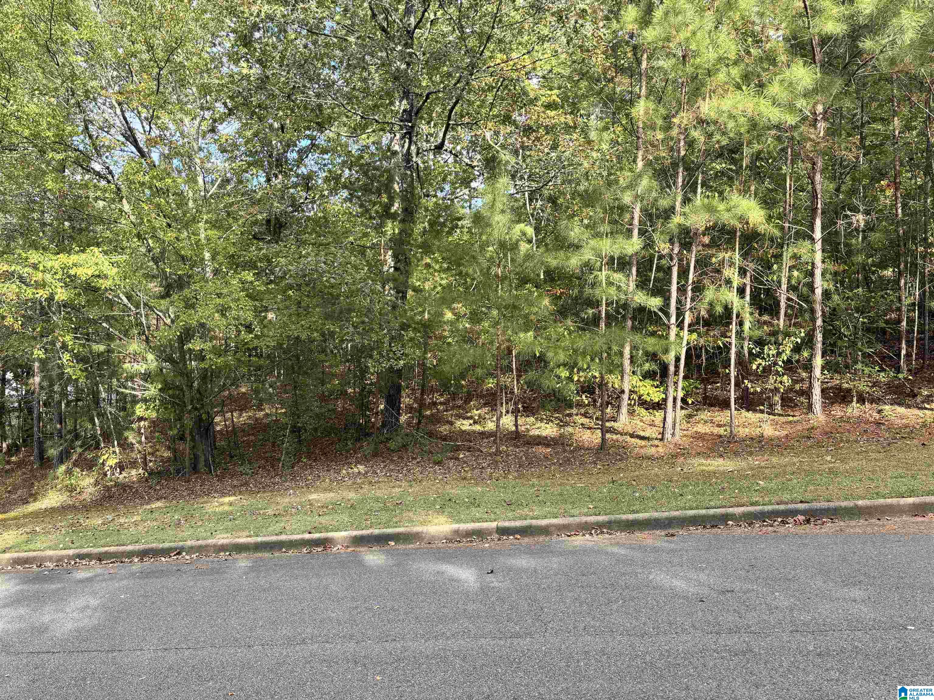 Lot 9 WHITE OAK CIRCLE