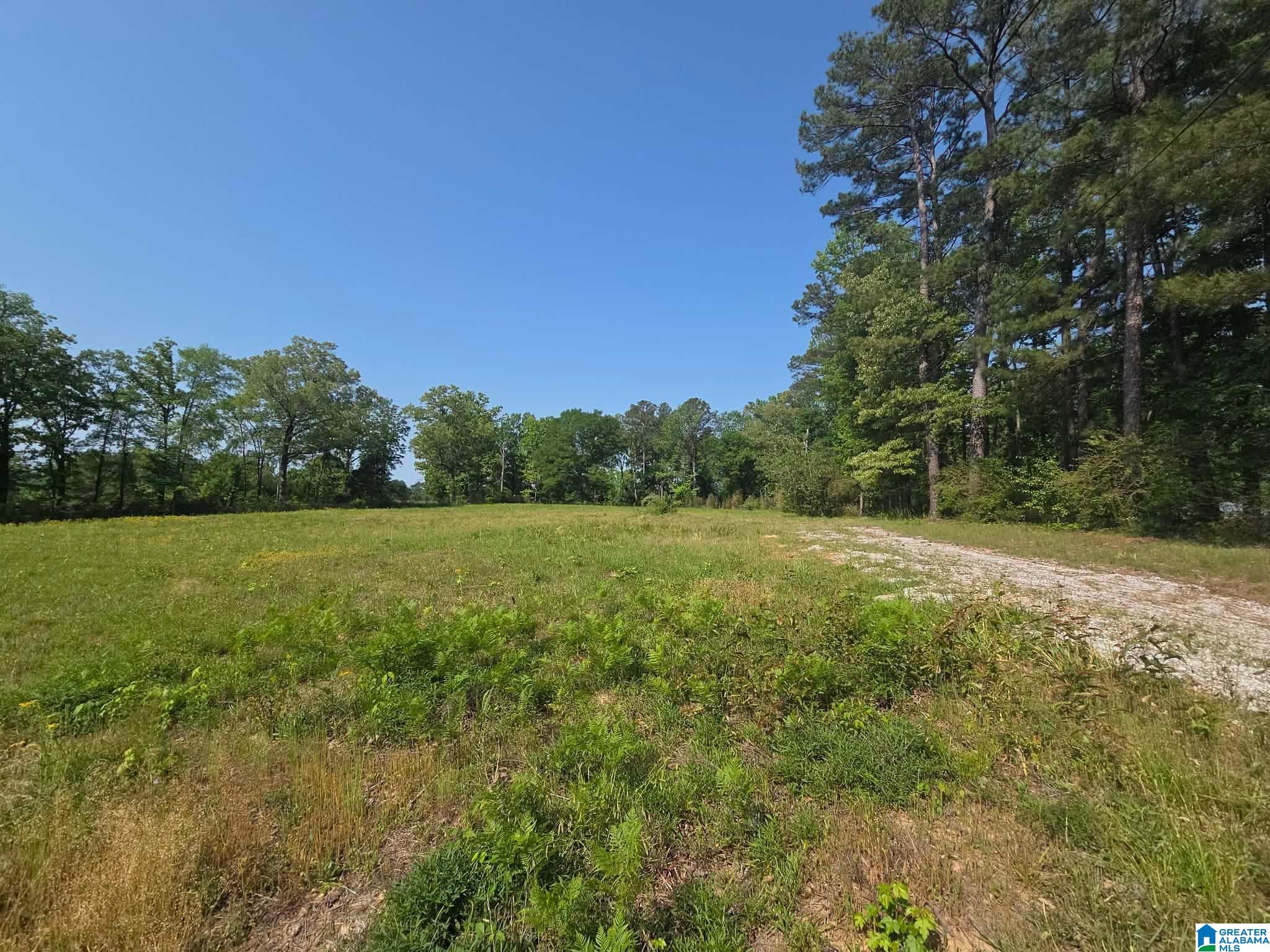 Homes for sale in Vance, AL | 10997 Vance Blockton Road, Vance, AL 35490 | MLS# 21450804