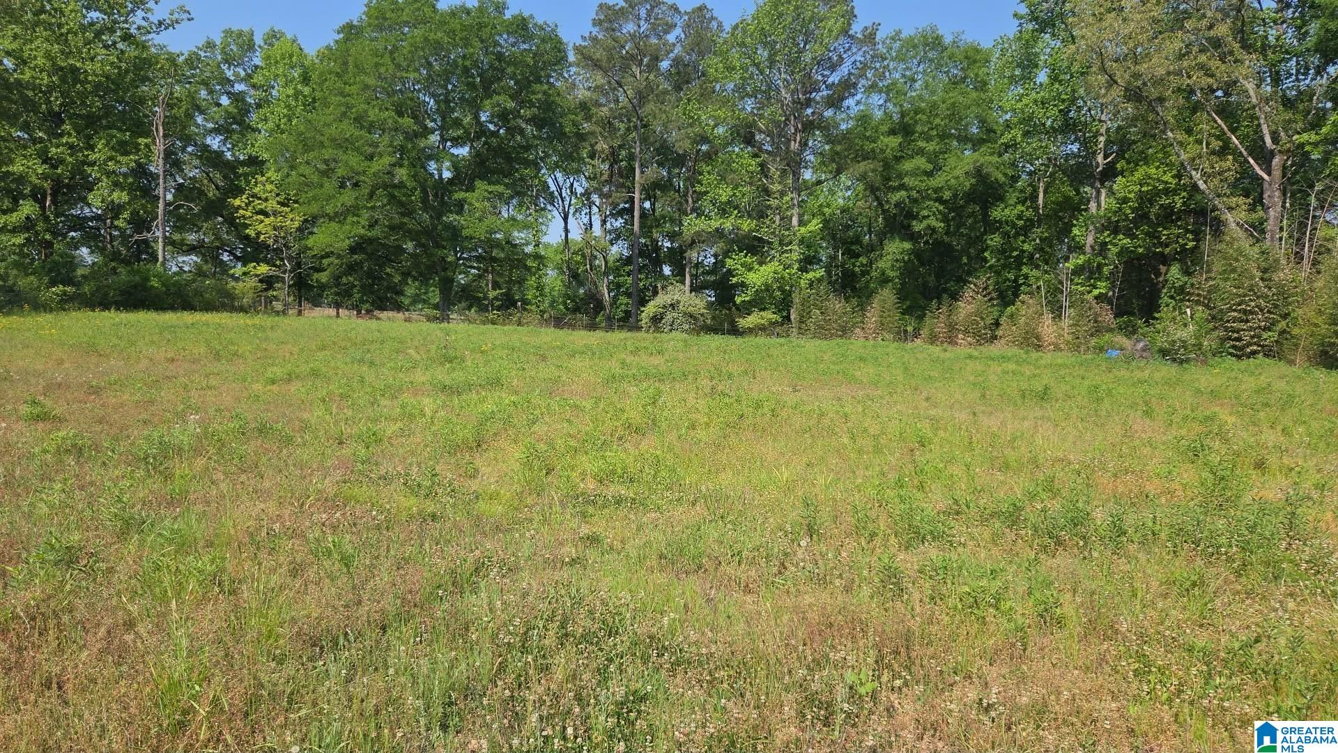 Homes for sale in Vance, AL | 10997 Vance Blockton Road, Vance, AL 35490 | MLS# 21450804