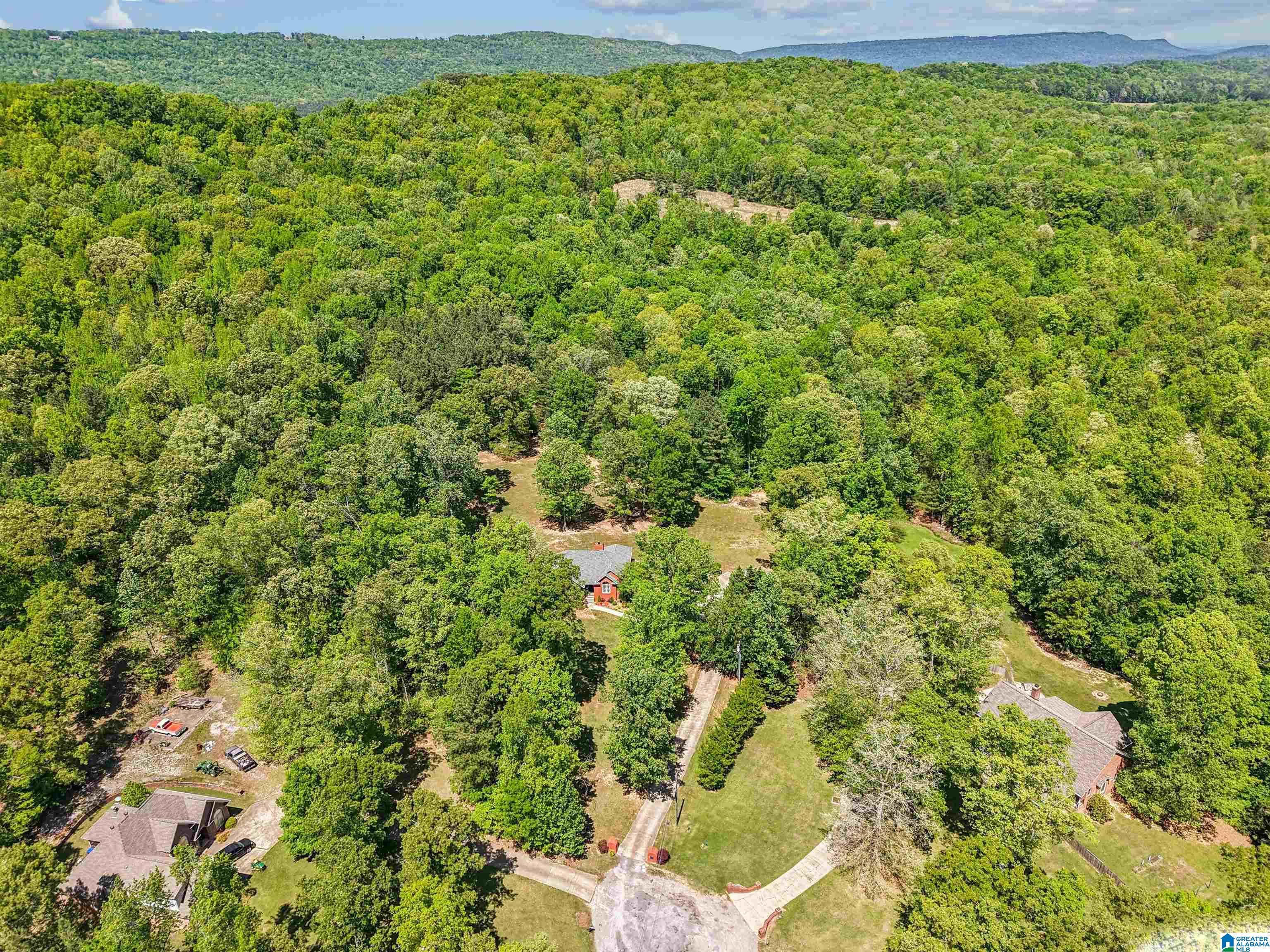 Homes for sale in Springville, AL | 706 Oak Valley Road, Springville, AL 35146 | MLS# 21450851