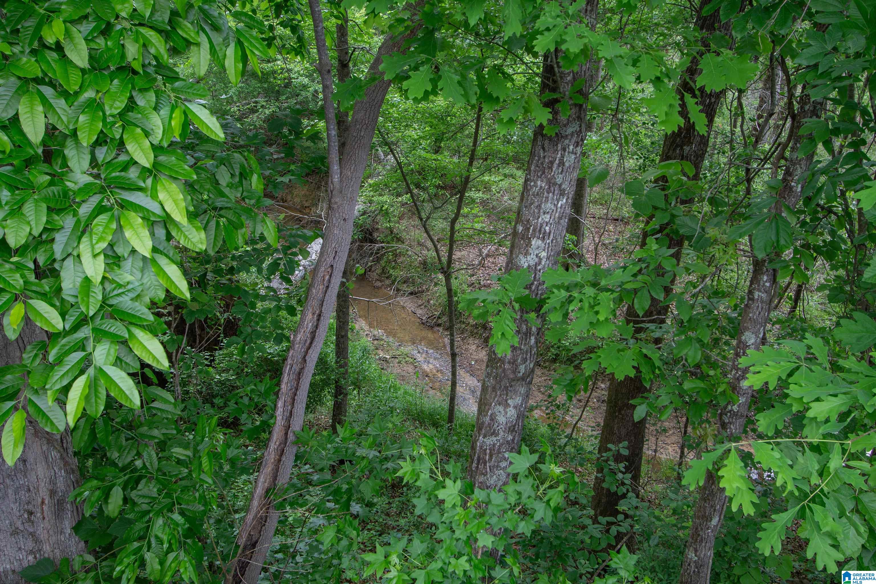 44th image of 248 Polo Downs, Chelsea, AL 35043 | MLS# 21450868