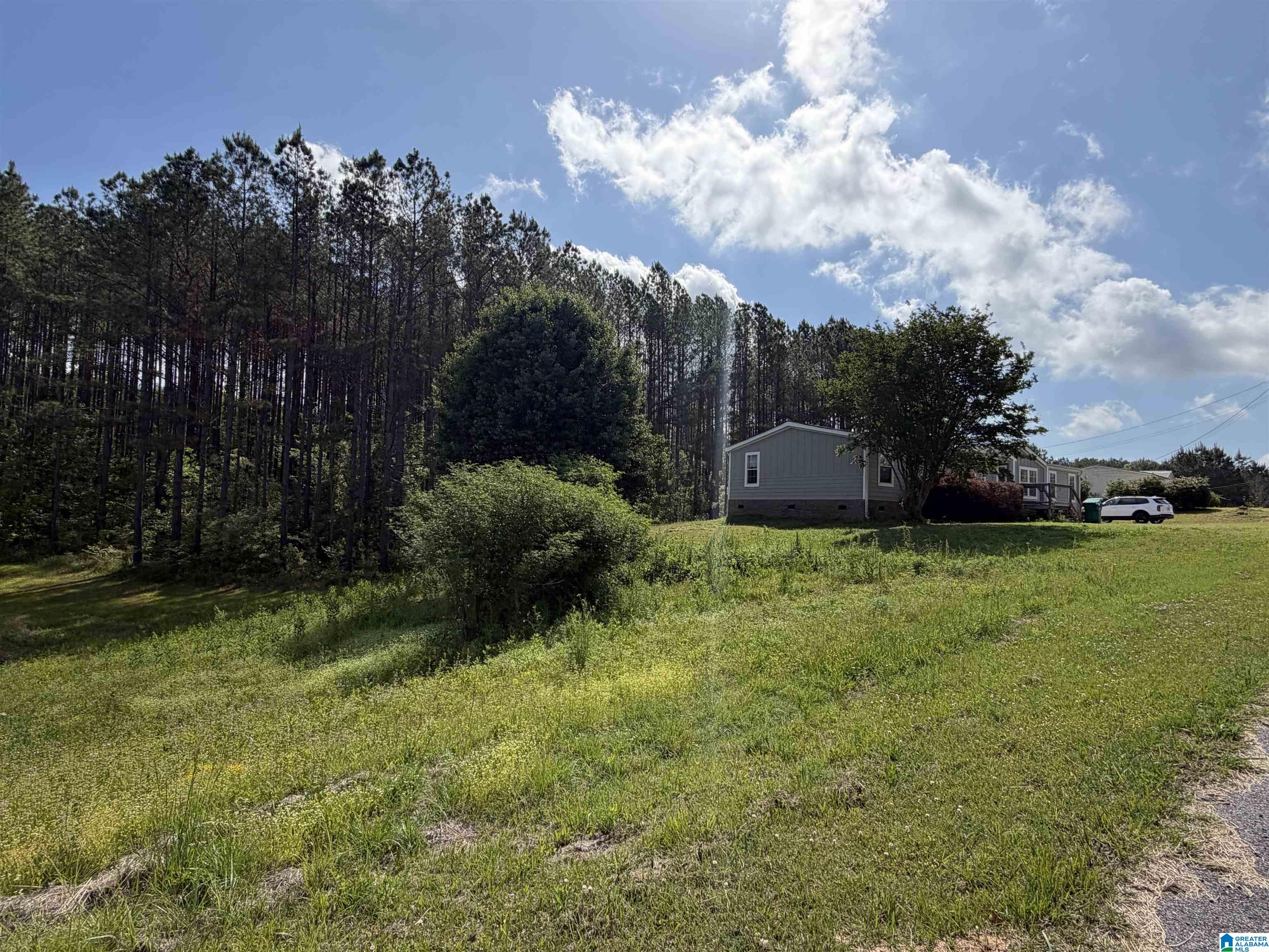 Homes for sale in Odenville, AL | 60 Abingdon Trace, Odenville, AL 35120 | MLS# 21450932