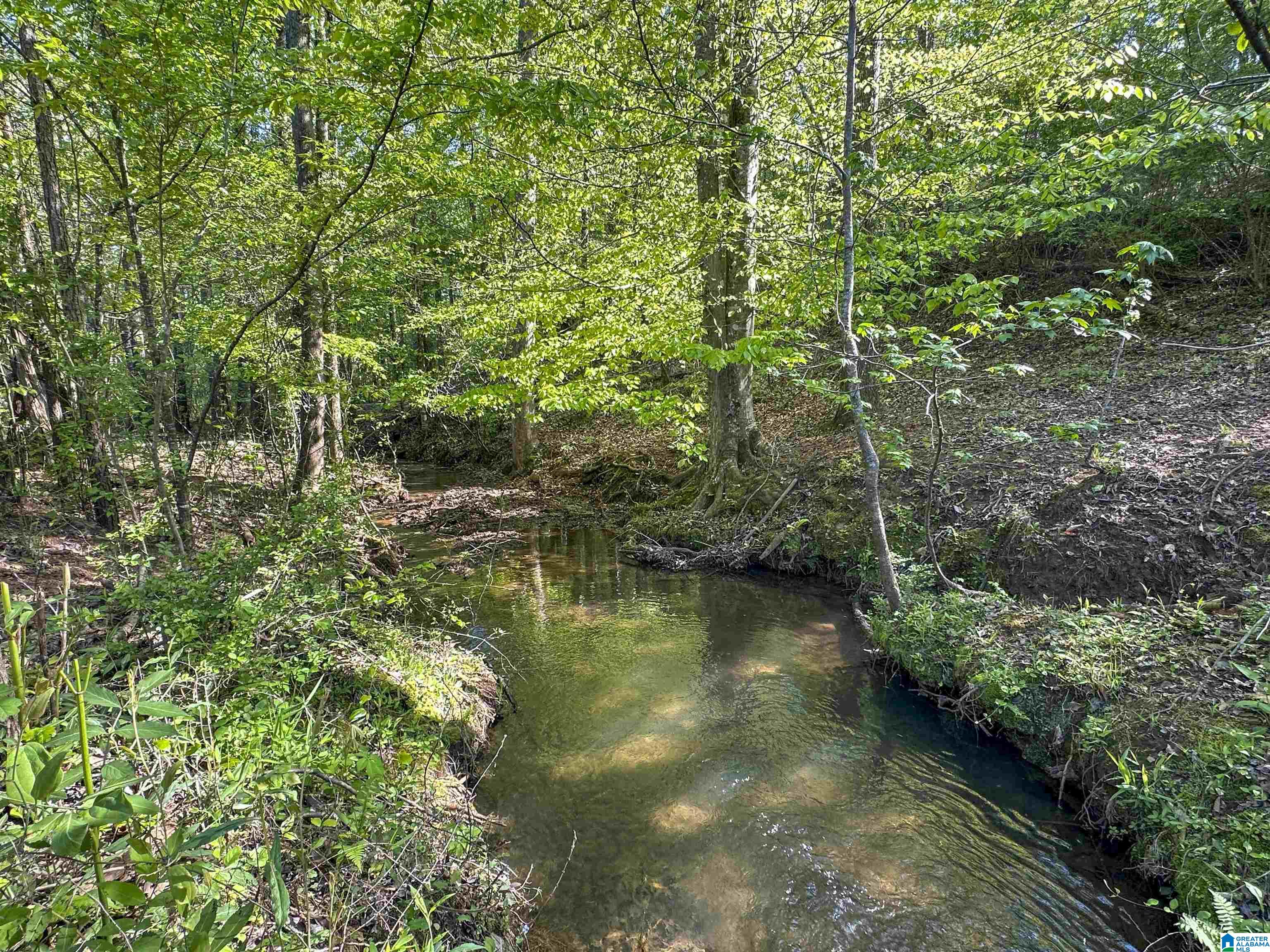 Homes for sale in Ashland, AL | 130 Kelly Road, Ashland, AL 36251 | MLS# 21451123