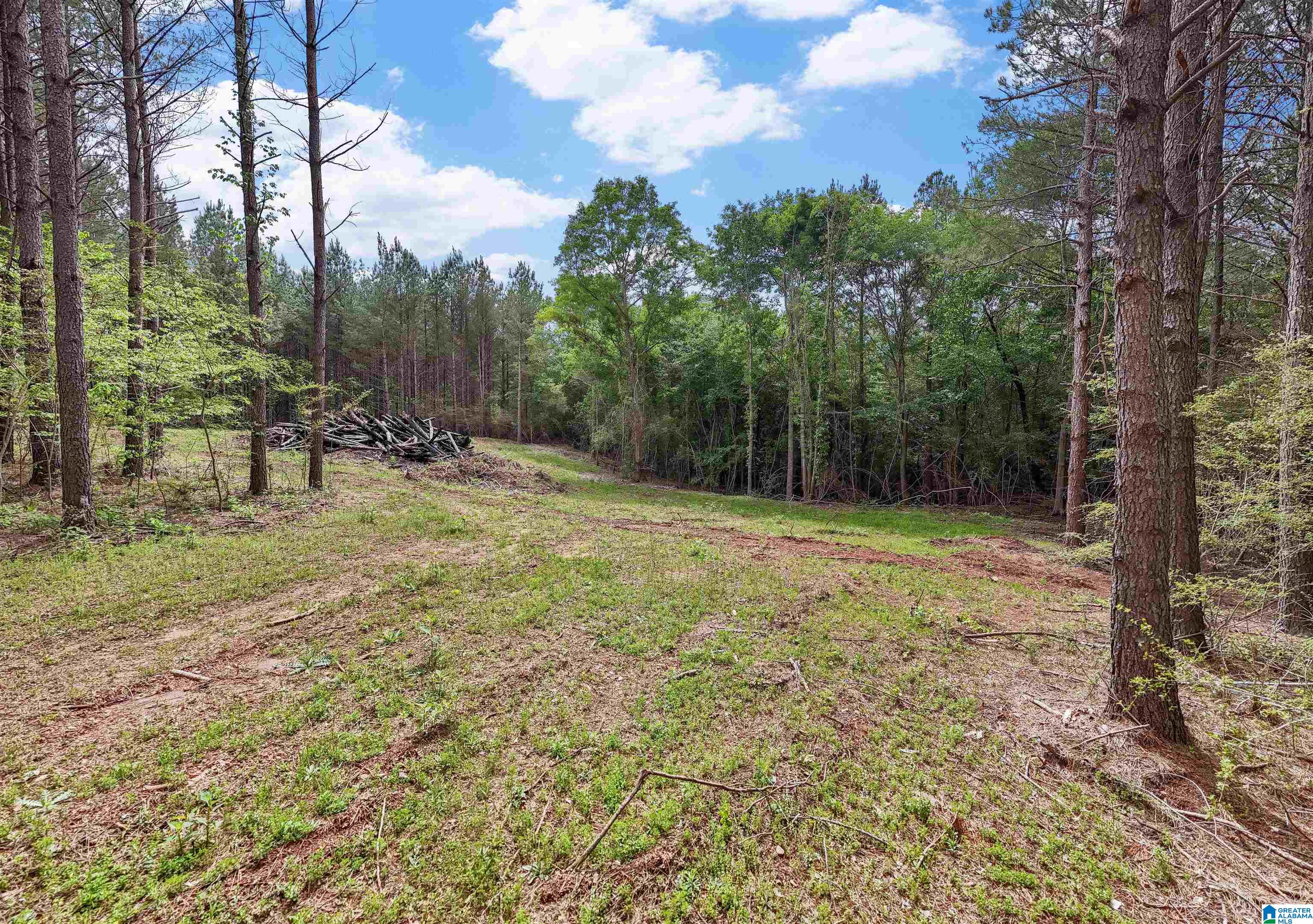 0 COUNTY ROAD 432