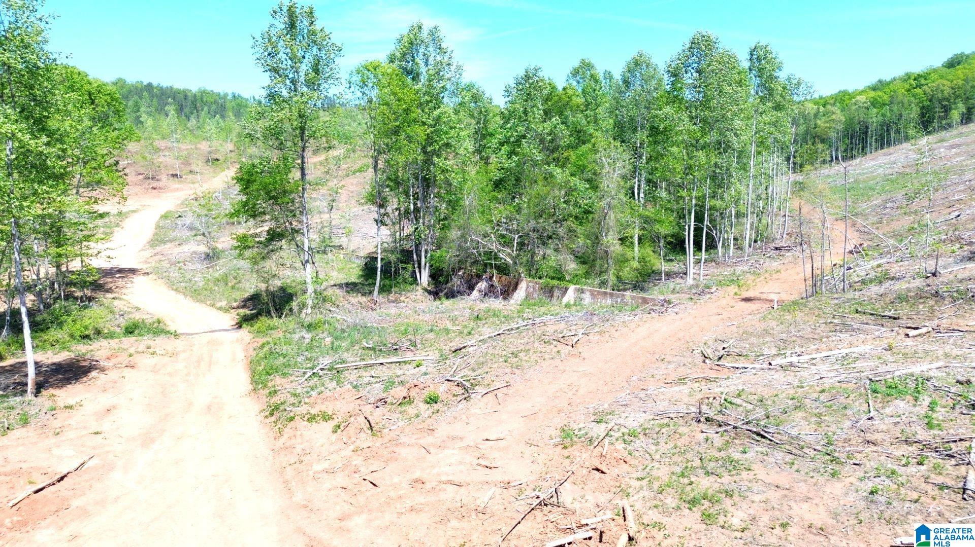 Homes for sale in Ashland, AL | Mines Road, Ashland, AL 35160 | MLS# 21451168