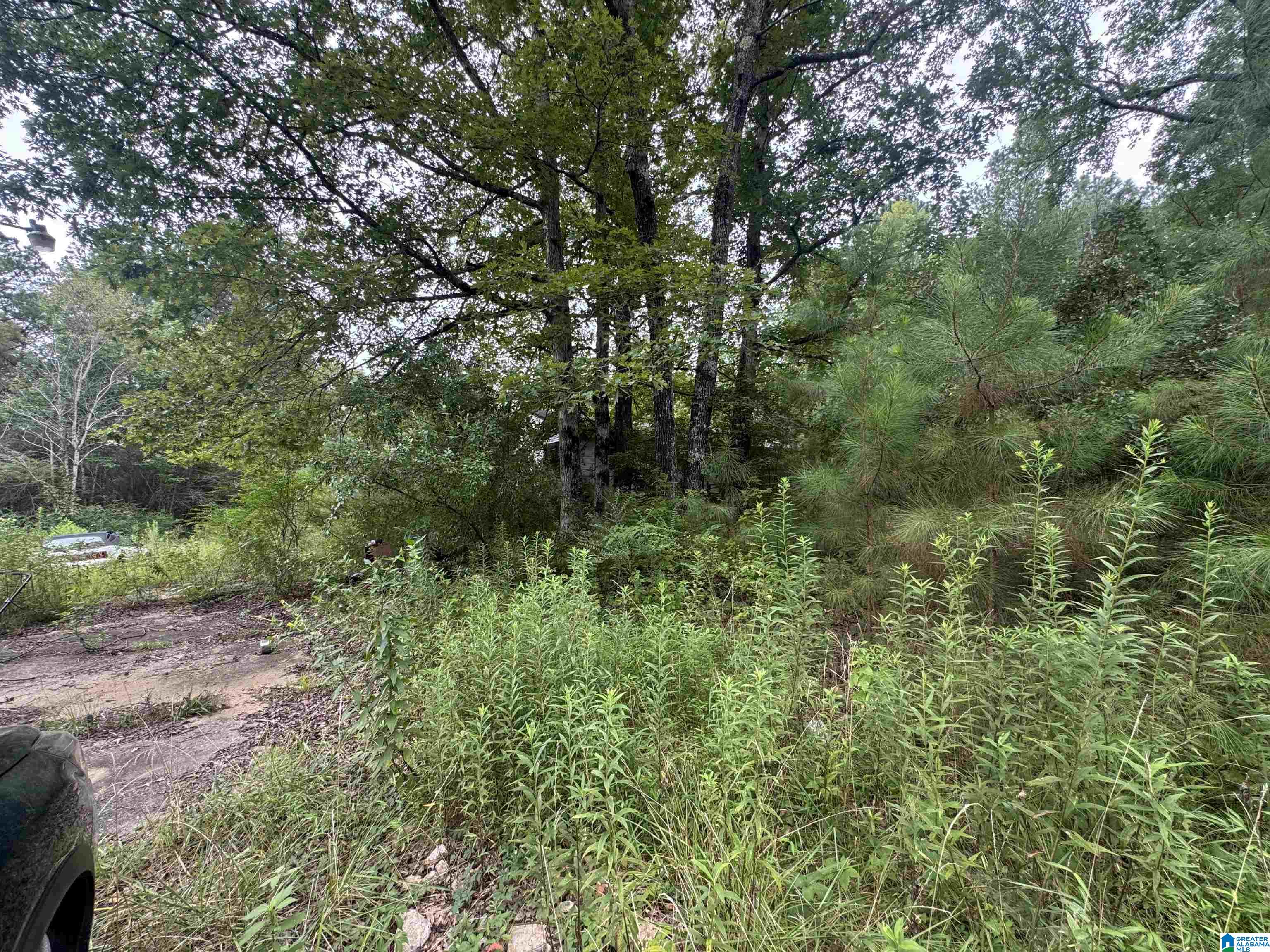 Homes for sale in Nauvoo, AL | 204 County Road, Nauvoo, AL 35578 | MLS# 21451173