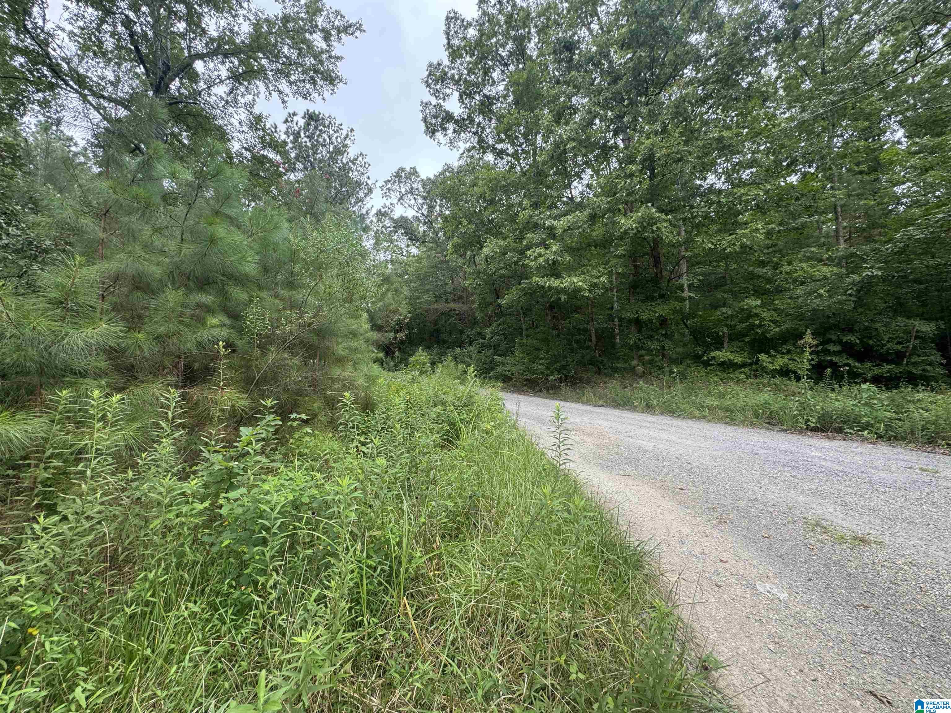 Homes for sale in Nauvoo, AL | 204 County Road, Nauvoo, AL 35578 | MLS# 21451173