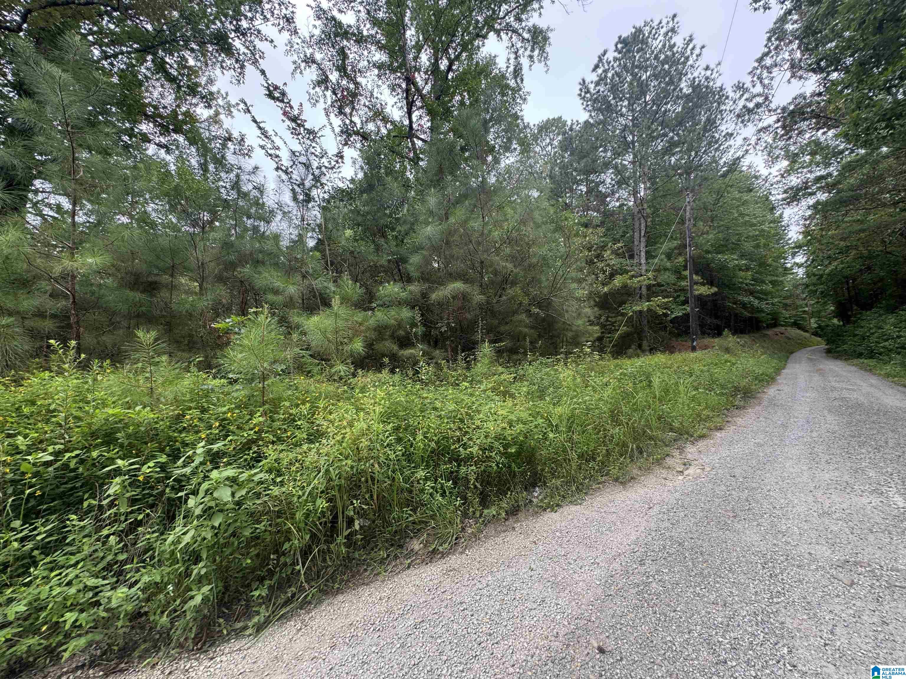 Homes for sale in Nauvoo, AL | 204 County Road, Nauvoo, AL 35578 | MLS# 21451173
