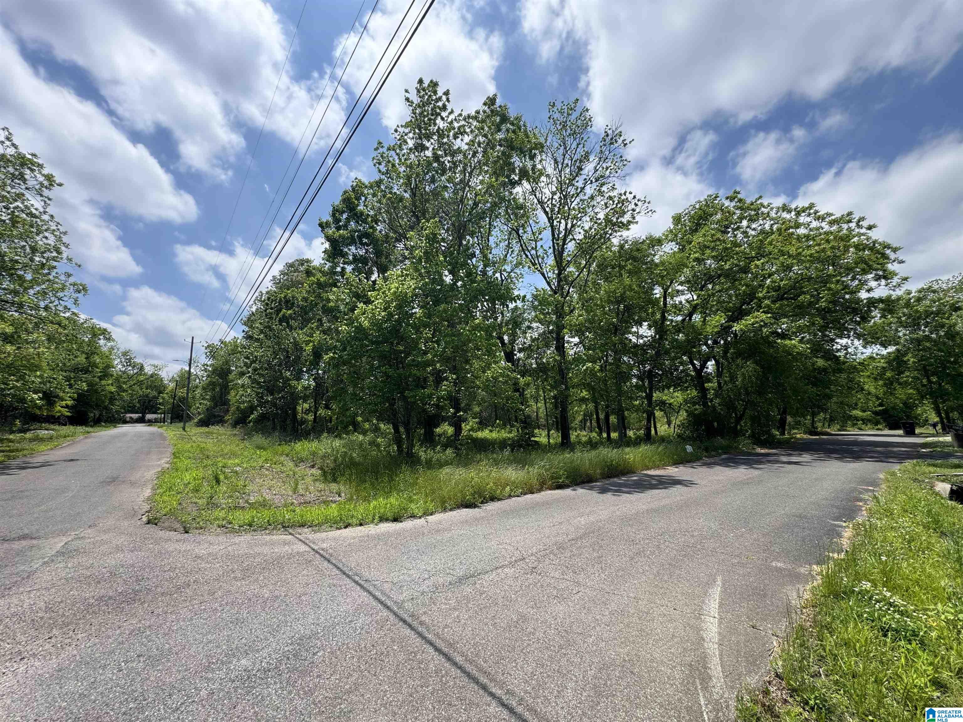 Photo 2 of Land for sale at 5501 Blossom Ave, Birmingham, AL 35228 | MLS# 21451178 | Listing updated on 2026-06-22