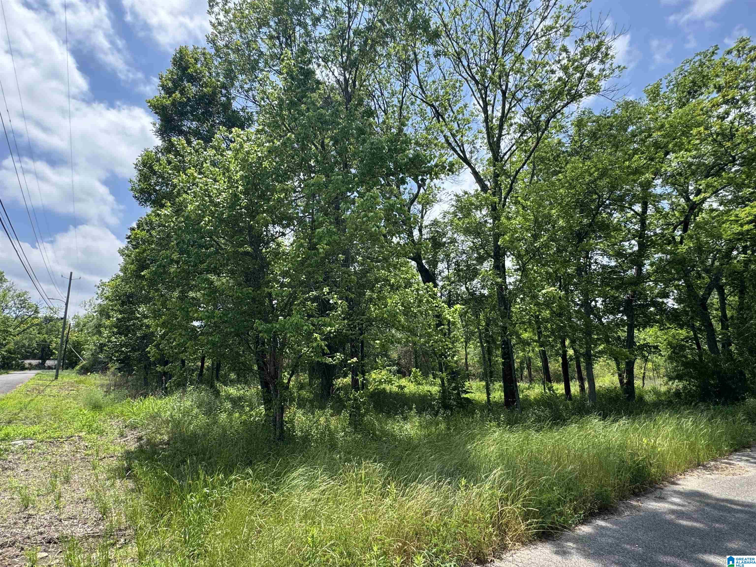 Photo 3 of Land for sale at 5501 Blossom Ave, Birmingham, AL 35228 | MLS# 21451178 | Listing updated on 2026-06-22