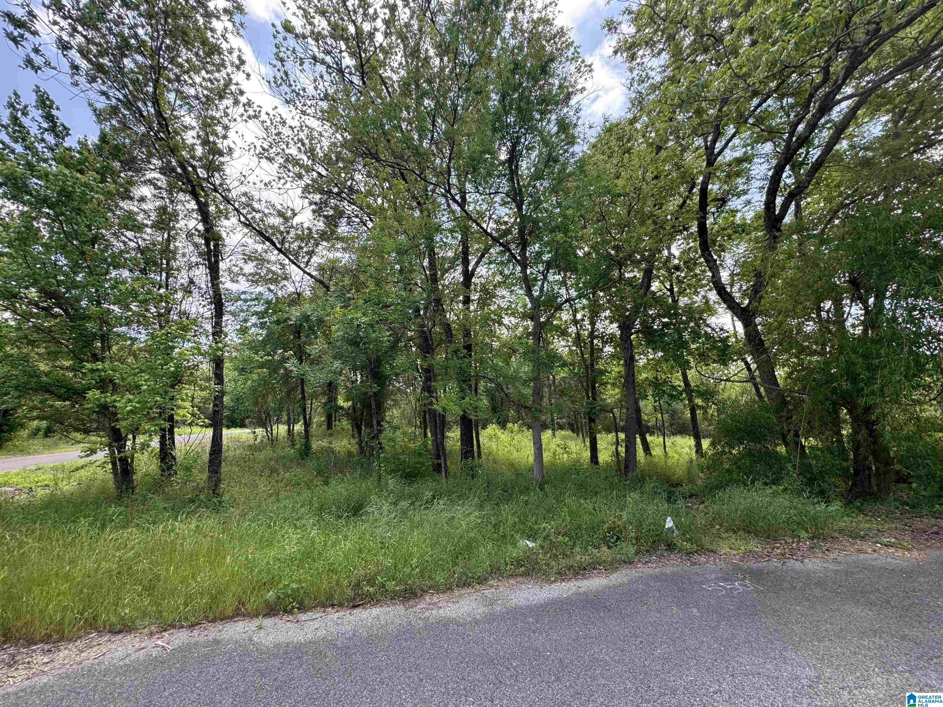 Photo 3 of Land for sale at 5501 Blossom Ave, Birmingham, AL 35228 | MLS# 21451178 | Listing updated on 2026-06-22