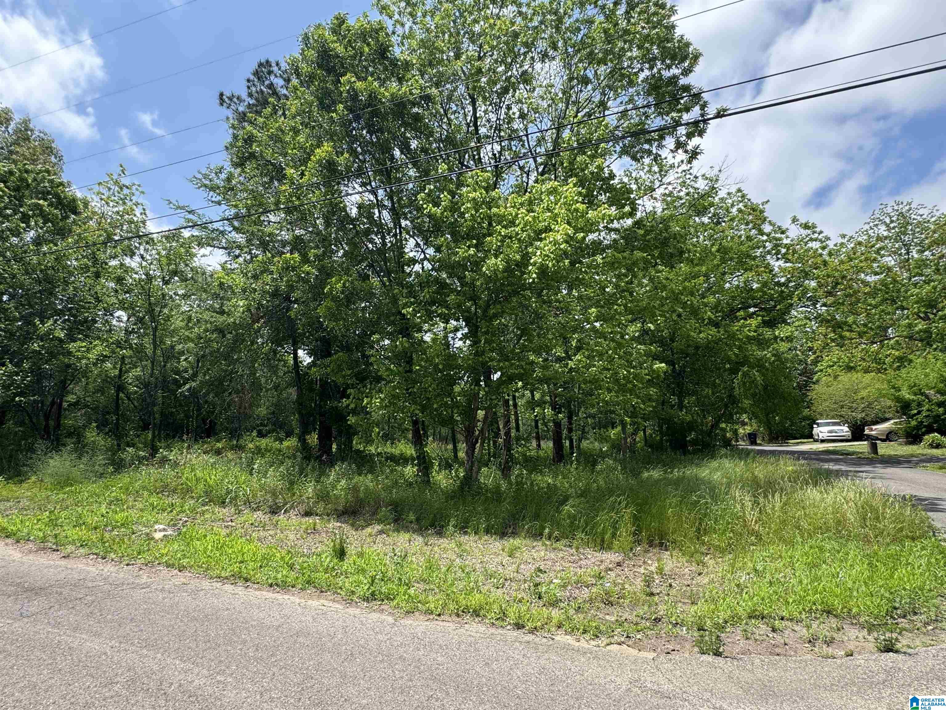 Photo 4 of Land for sale at 5501 Blossom Ave, Birmingham, AL 35228 | MLS# 21451178 | Listing updated on 2026-06-22