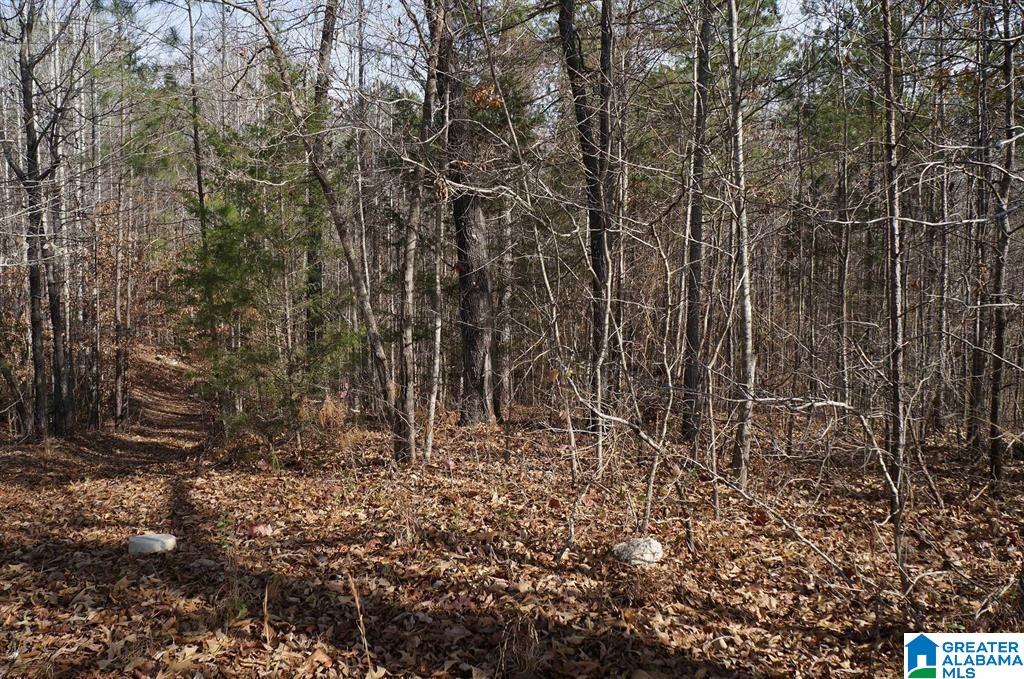 8th image of 0 Pebble Point, Sylacauga, AL 35151 | MLS# 21451307
