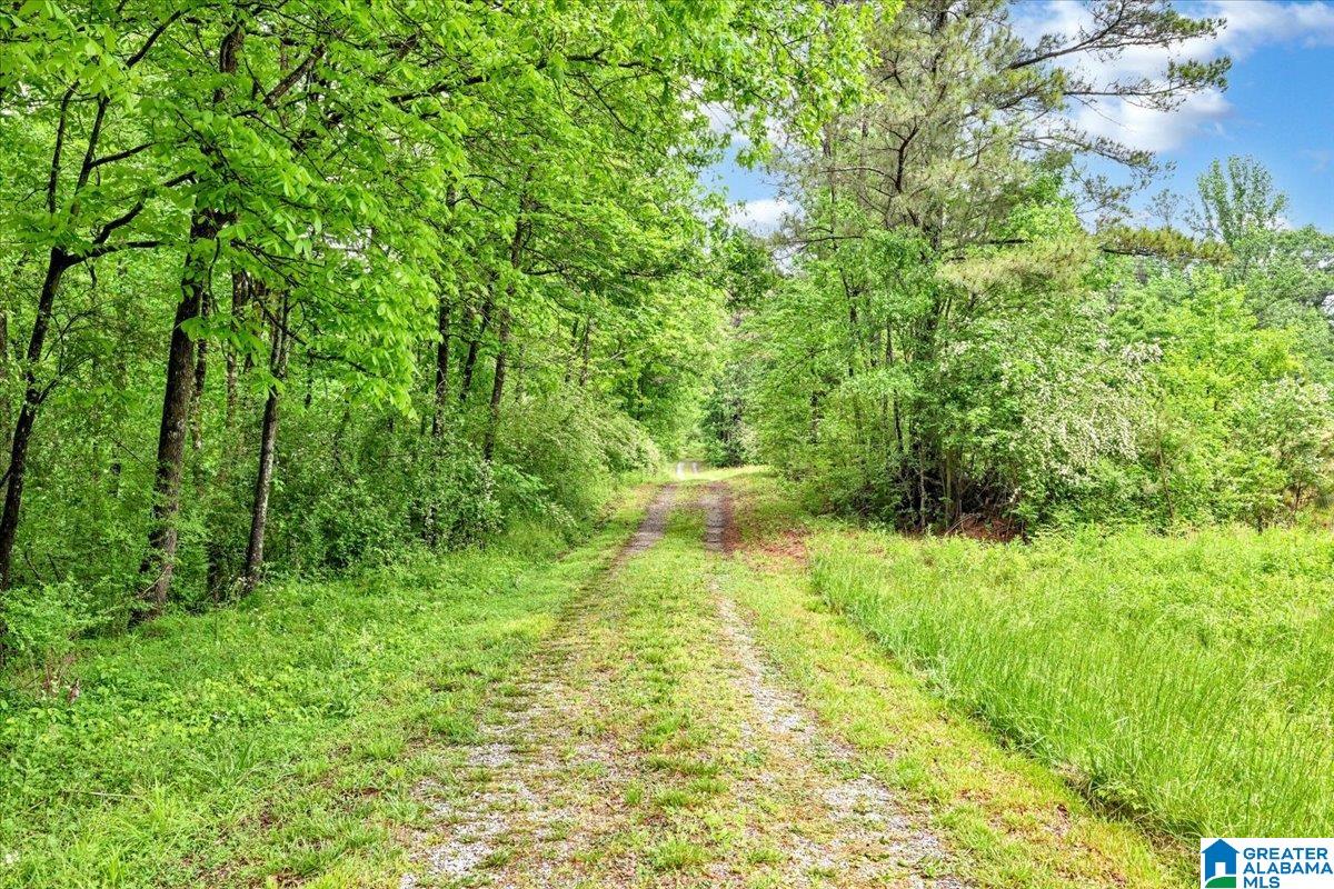 Homes for sale in Cullman, AL | 834 County Road 1634, Cullman, AL 35058 | MLS# 21451380