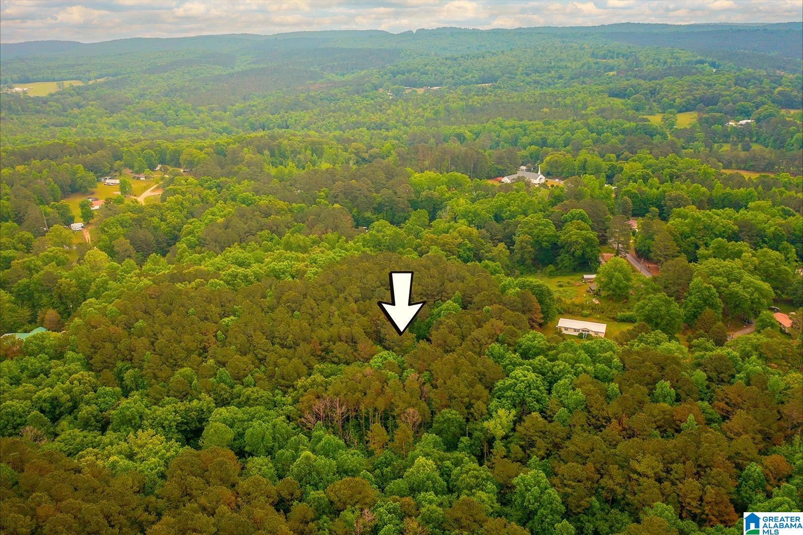 4th image of 0 Spunky Hollow Road, Trafford, AL 35172 | MLS# 21451436