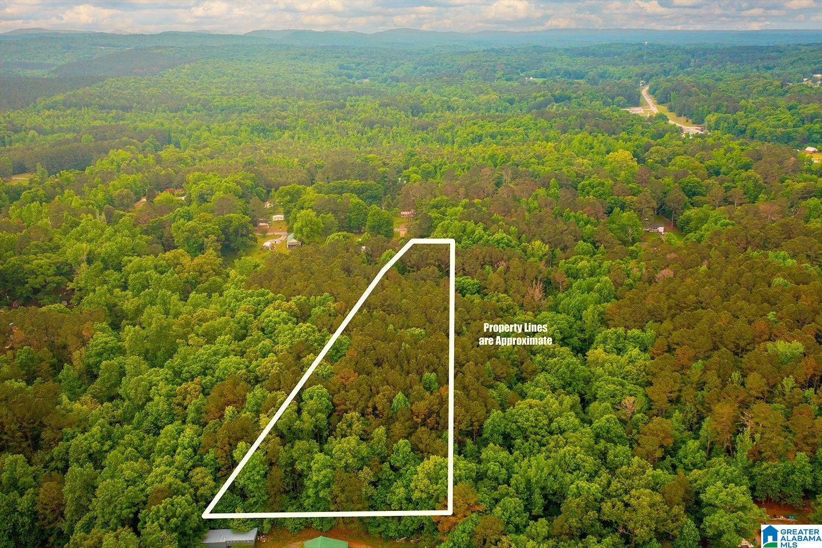 5th image of 0 Spunky Hollow Road, Trafford, AL 35172 | MLS# 21451436