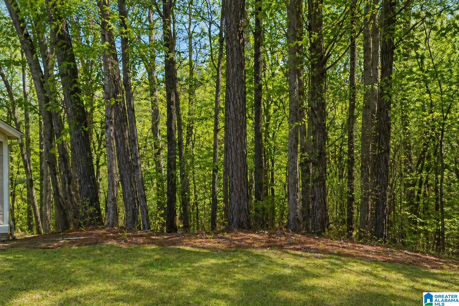 1st image of 1029 Long Branch Parkway, Calera, AL 35040 | MLS# 21451448