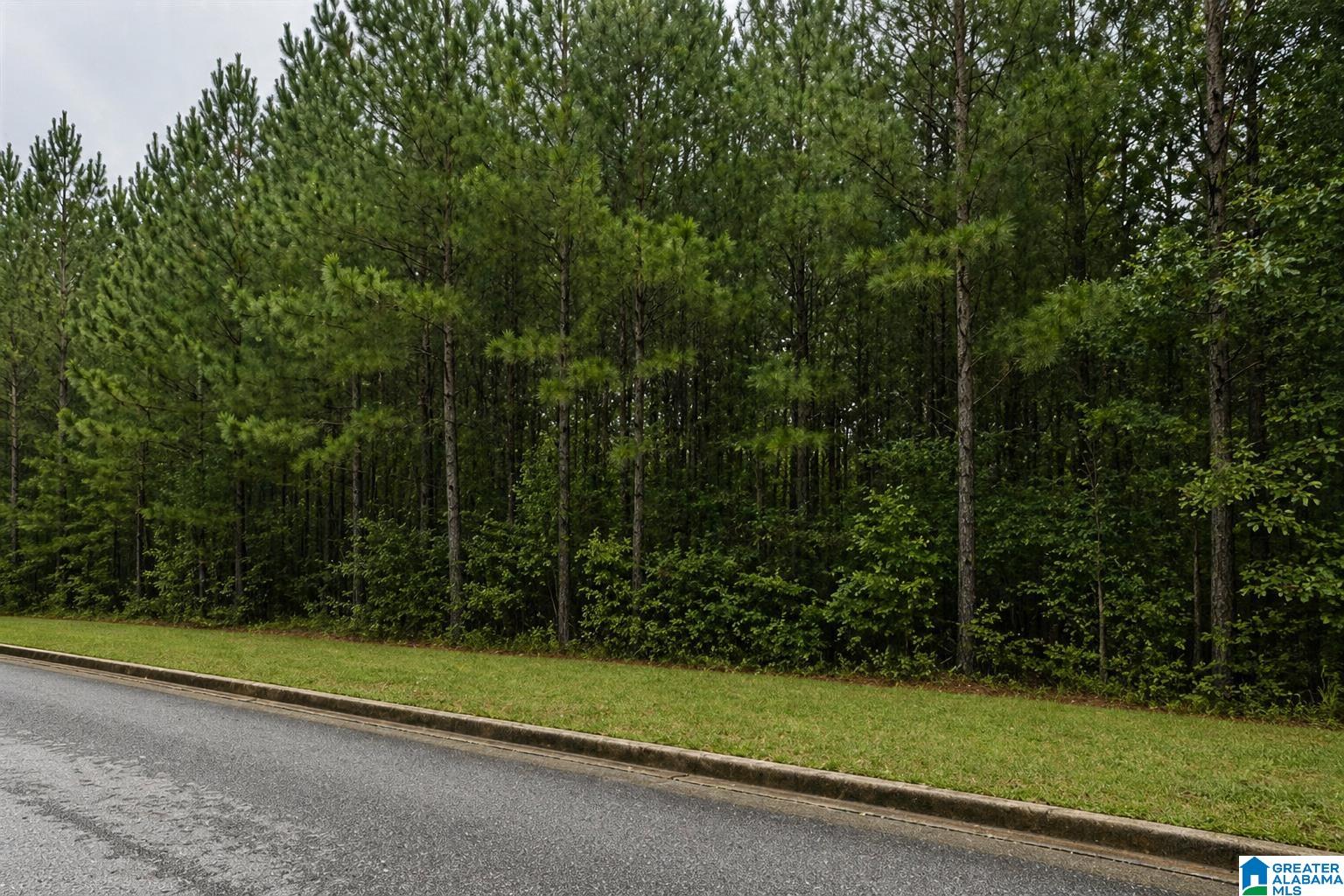 1st image of 1000 Long Branch Parkway, Calera, AL 35040 | MLS# 21451449