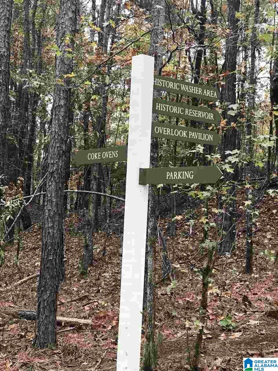 74th image of 1035 Wiltshire Lane, Helena, AL 35080 | MLS# 21451667